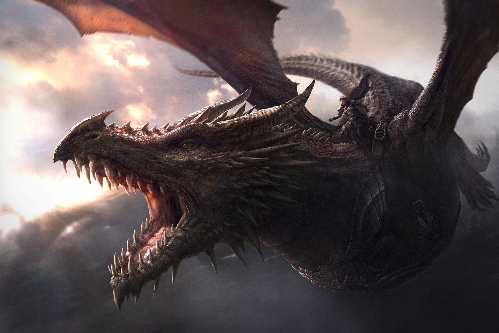Dragon with a rider in the sky HD Wallpaper