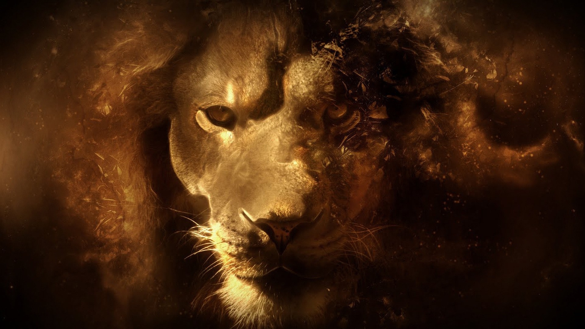 Fantasy art of a lion with special effects HD Wallpaper