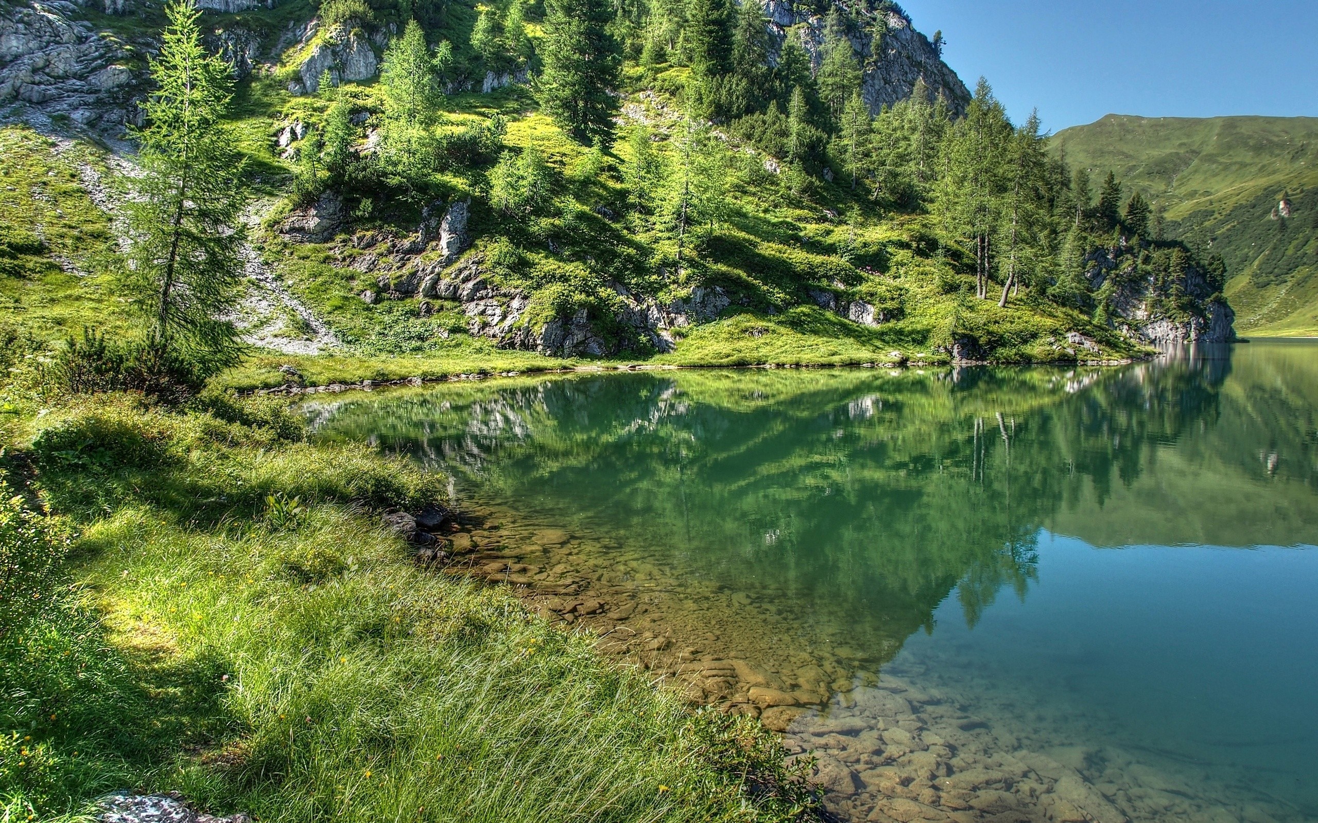 Mountain lake with reflection and trees HD Wallpaper