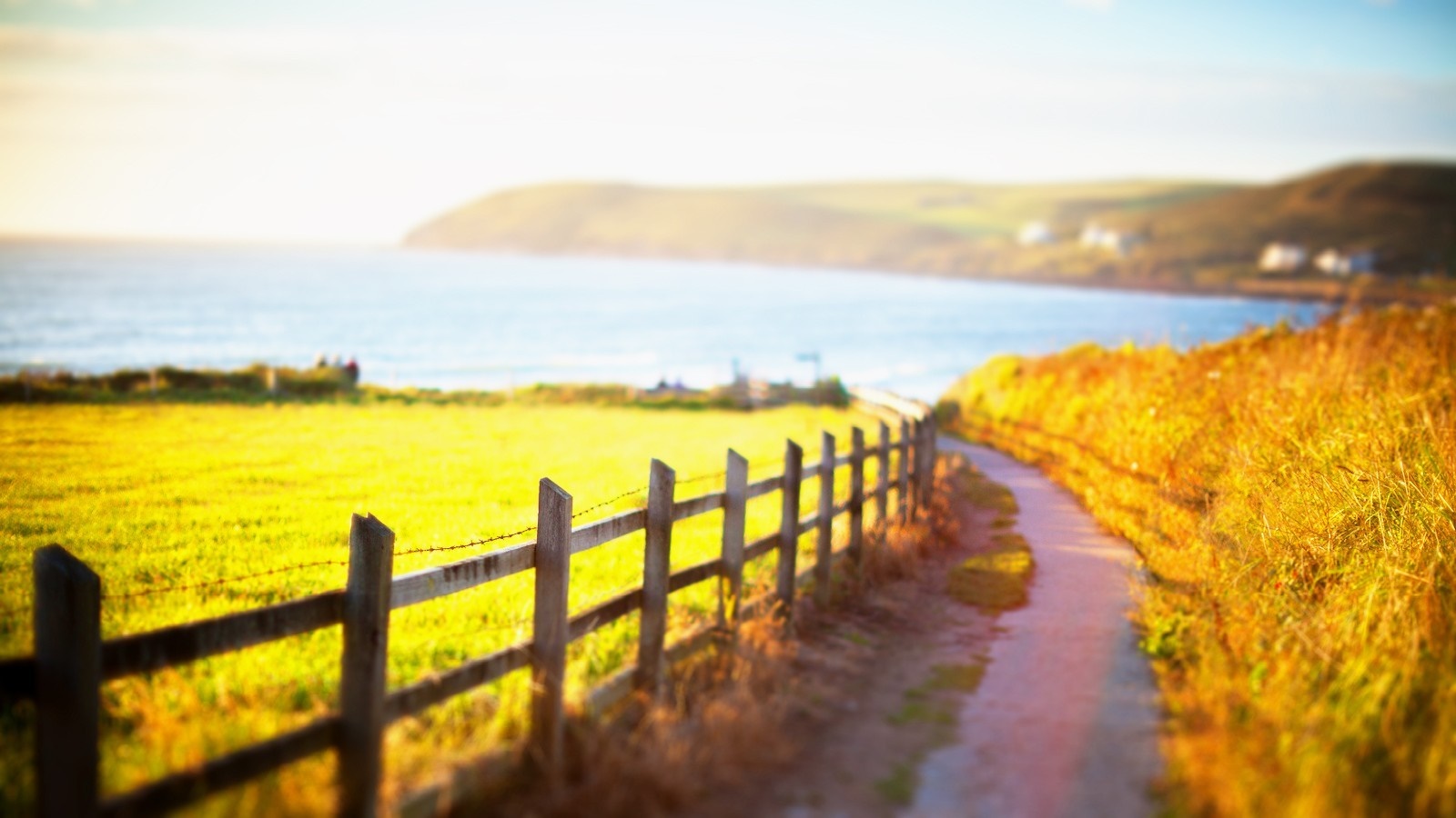 Coastal path with fence and sea at sunset HD Wallpaper