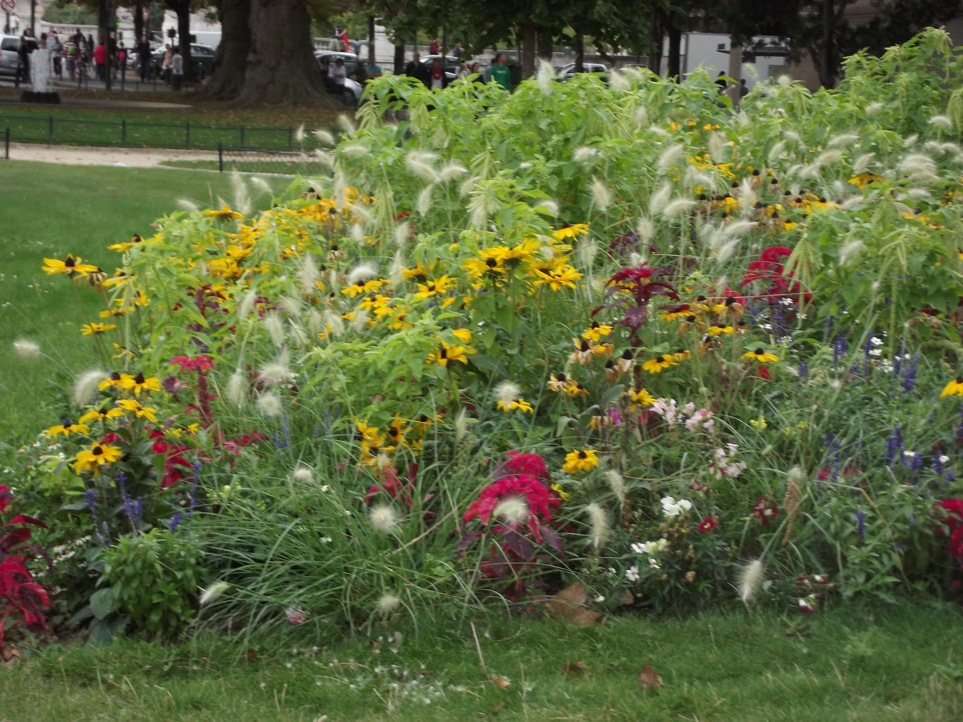 Flower bed with yellow and red flowers in a park HD Wallpaper