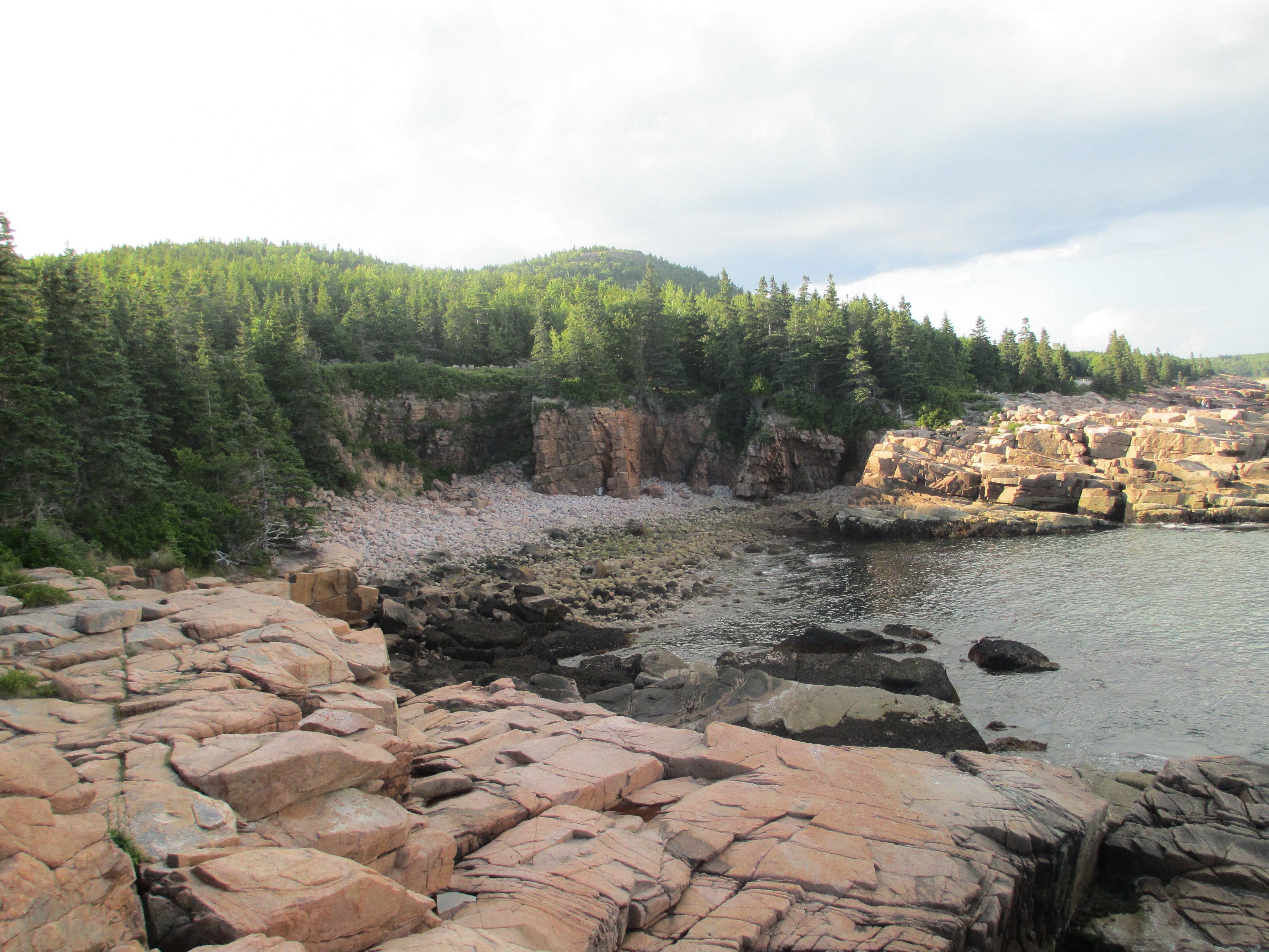 Rocky coastline with evergreen forest and ocean HD Wallpaper