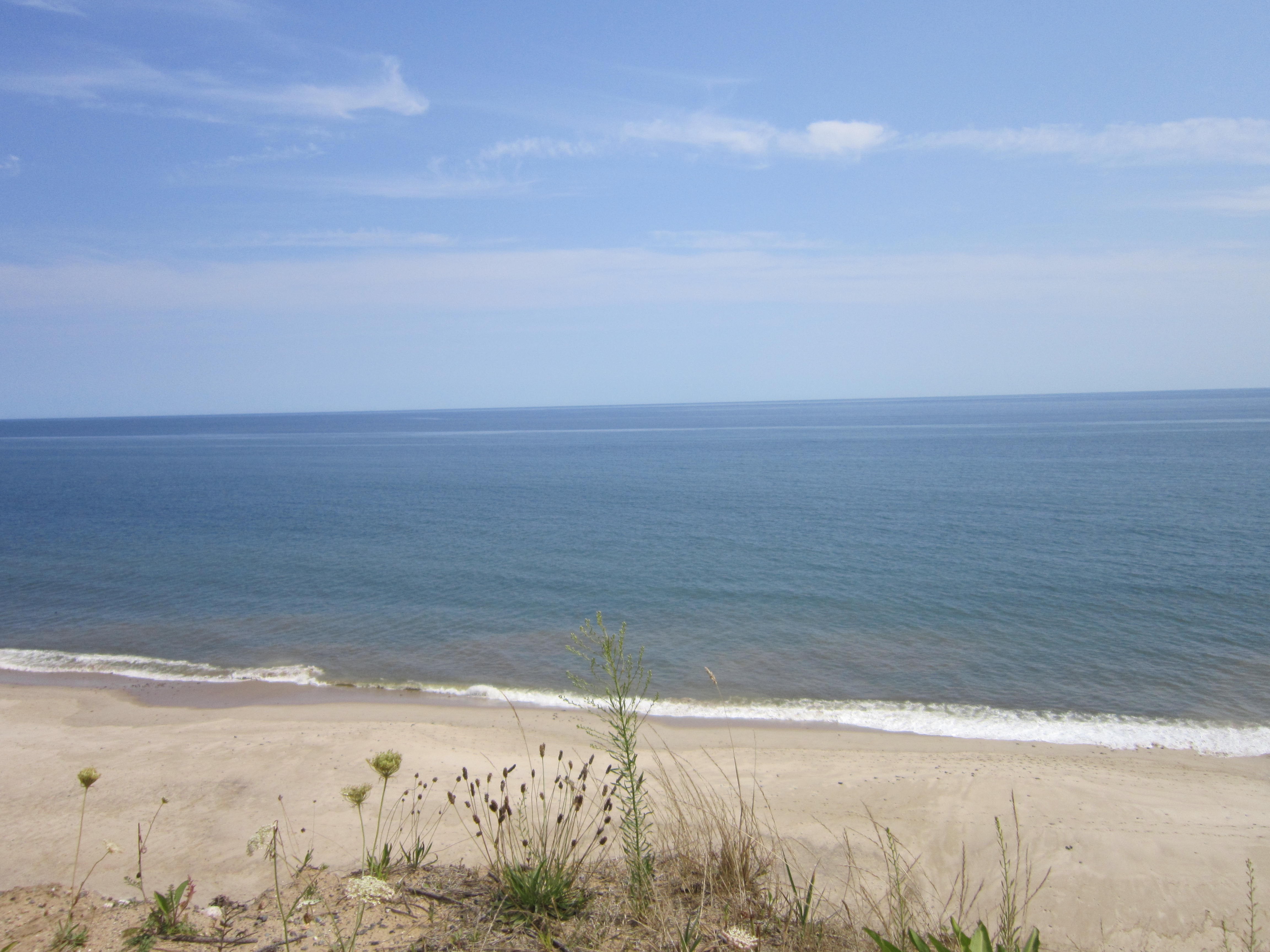 Ocean and sandy beach with vegetation HD Wallpaper
