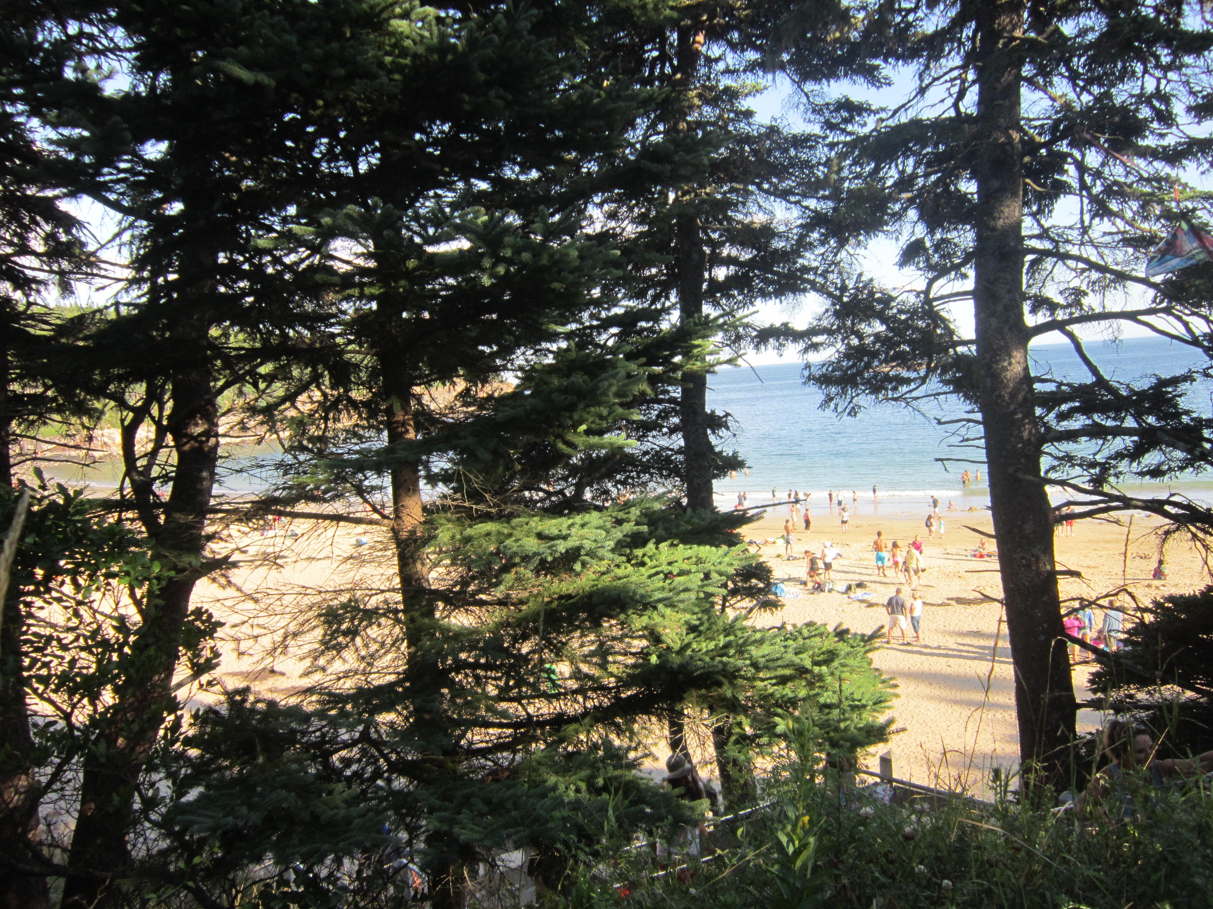 People on a beach with trees in the foreground HD Wallpaper