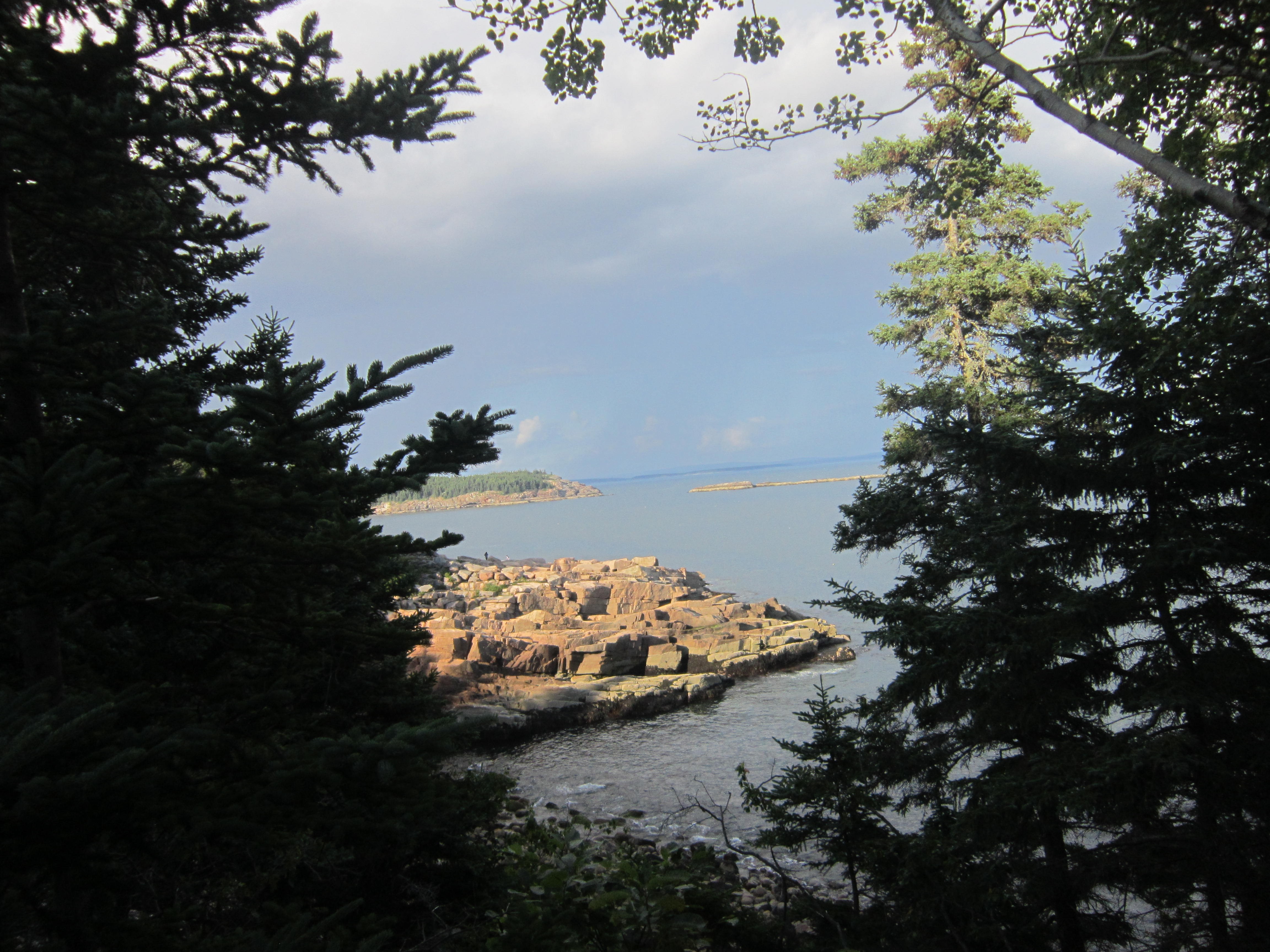 Rocky coastline with trees and ocean view HD Wallpaper