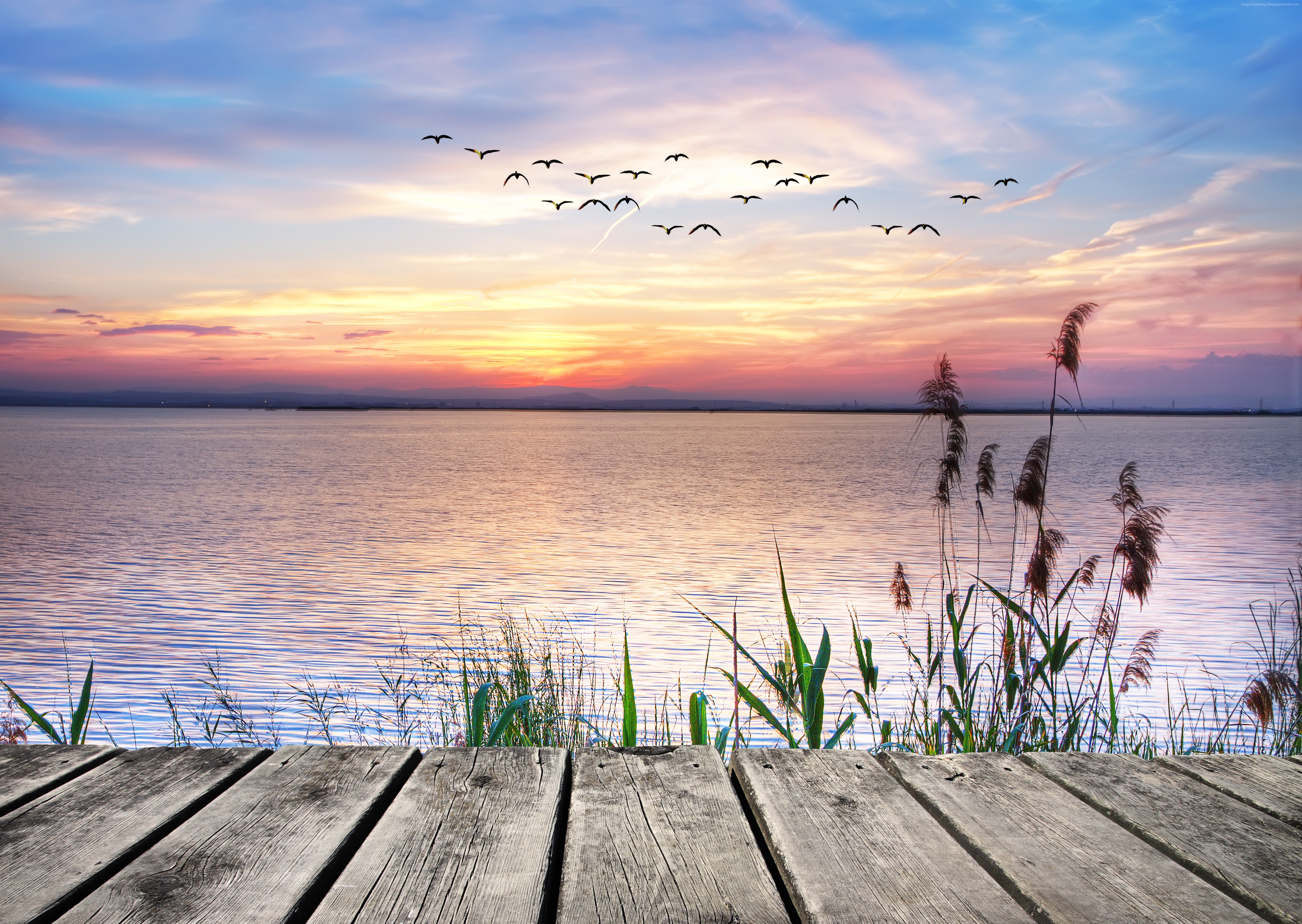 Sunset over a lake with reeds and a wooden pier HD Wallpaper