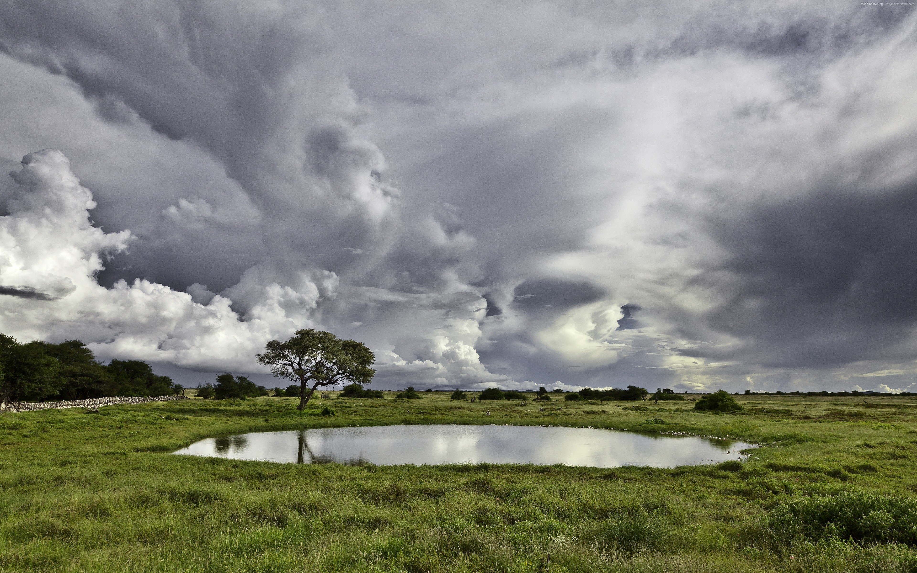 4K wallpaper of meadows, trees, and clouds over a lake HD Wallpaper