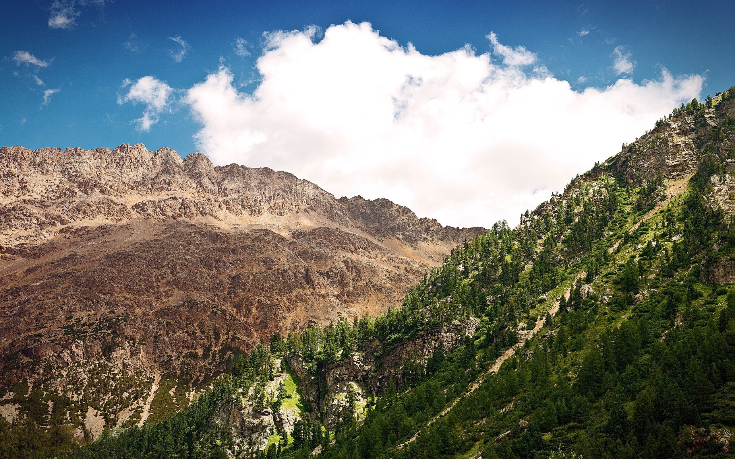 Mountain range with forest and blue sky HD Wallpaper