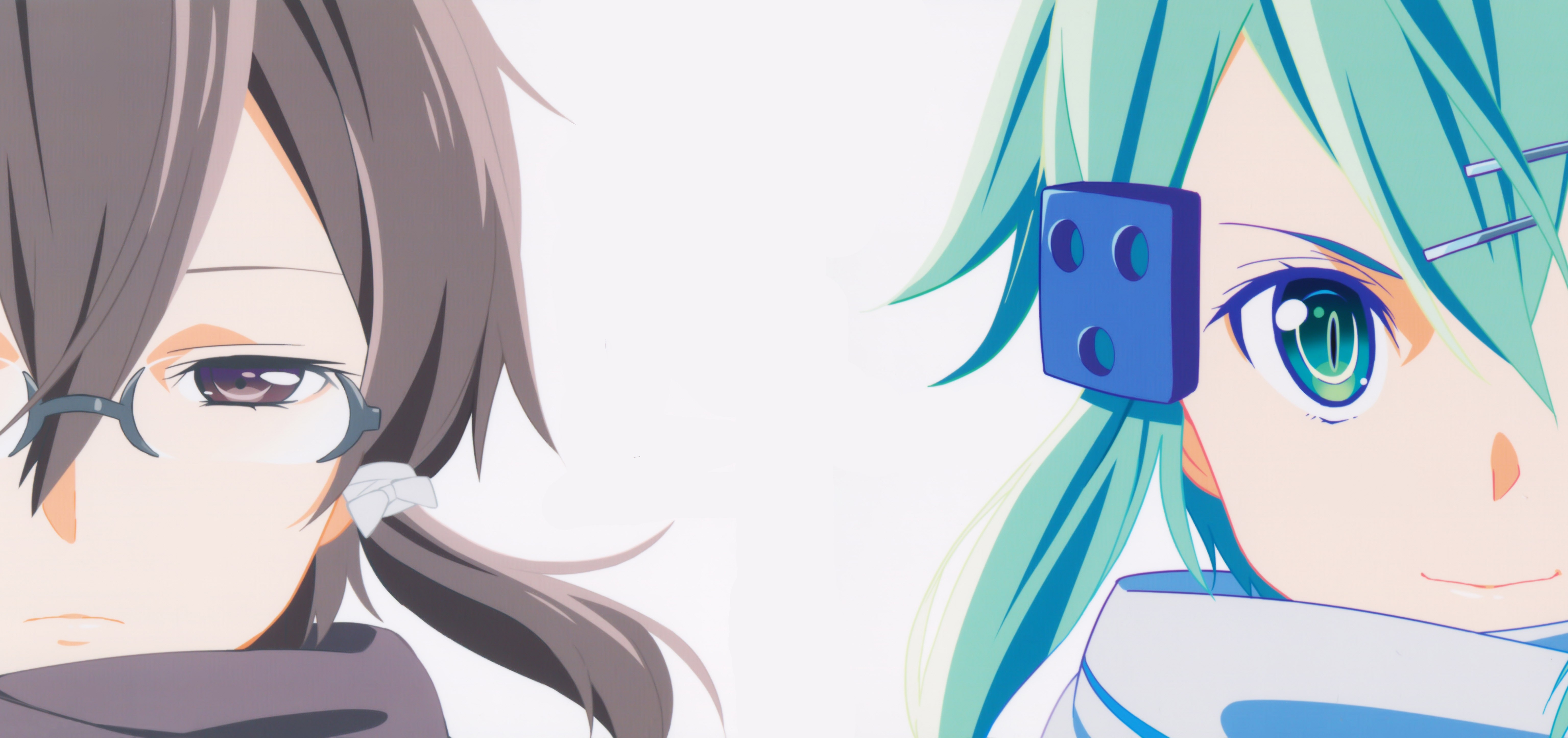 Asada Shino and another girl from Sword Art Online HD Wallpaper