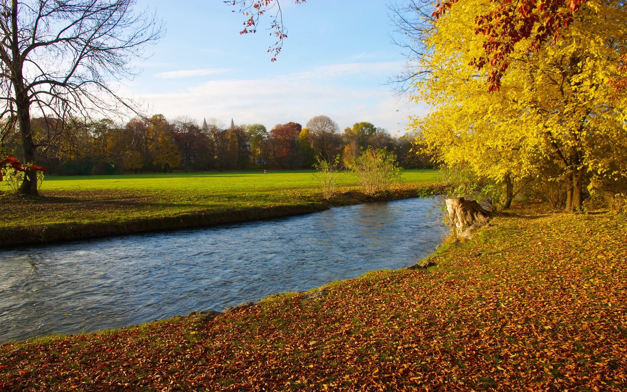 Autumn river landscape with yellow trees and fallen leaves HD Wallpaper