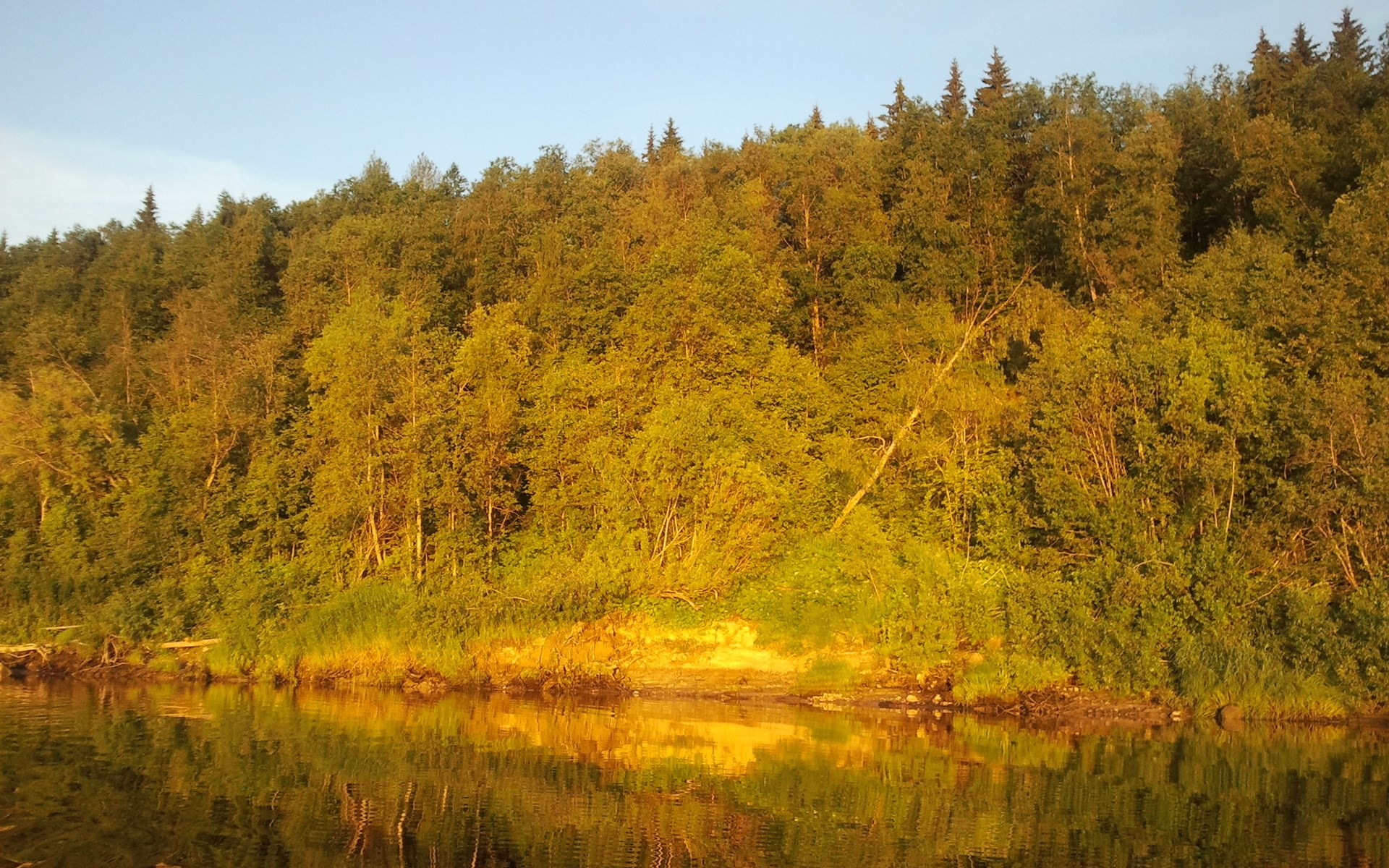 Riverbank with trees and reflection HD Wallpaper