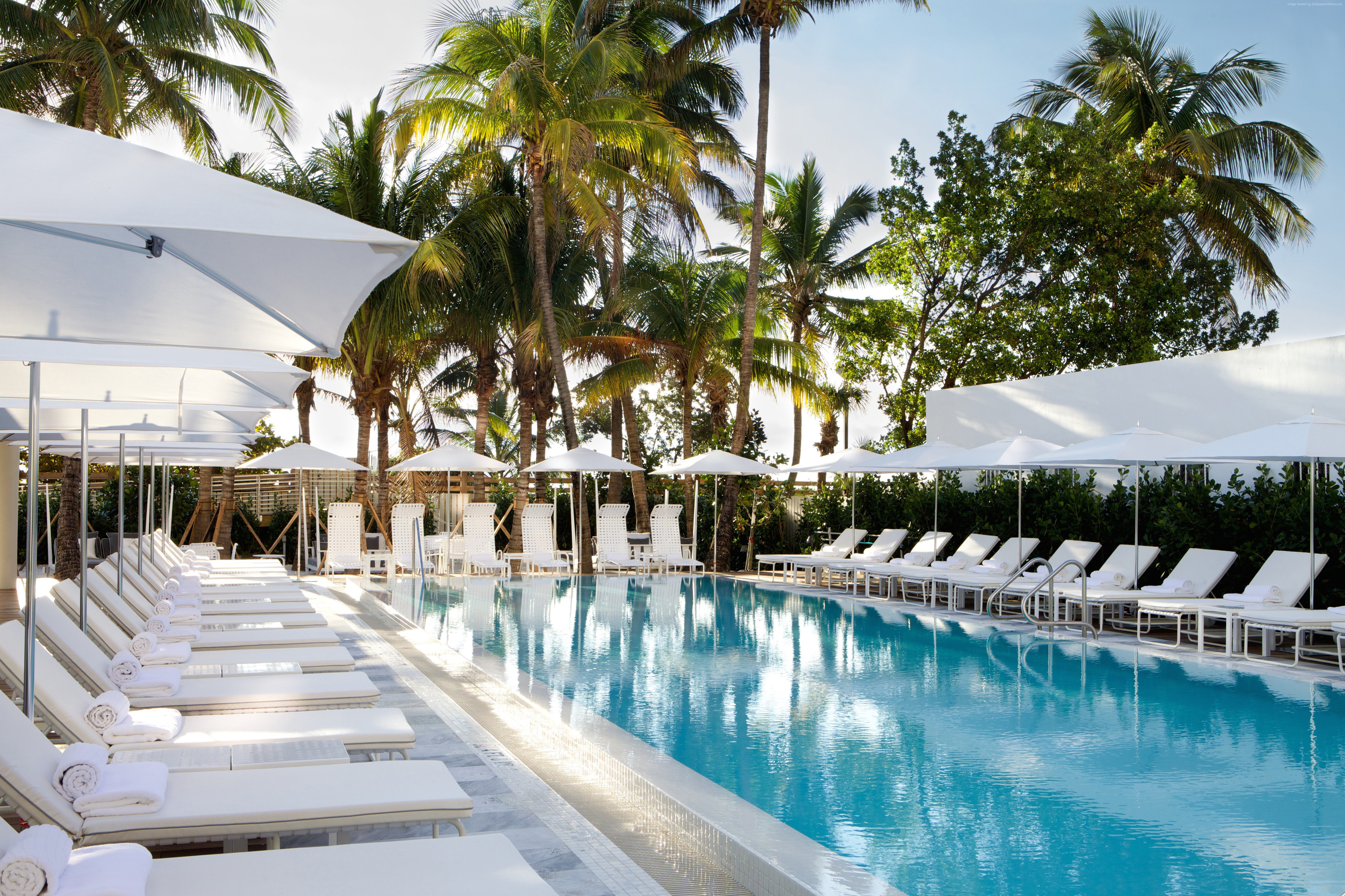 Swimming pool with lounge chairs and palm trees at Metropolitan by COMO, Miami HD Wallpaper