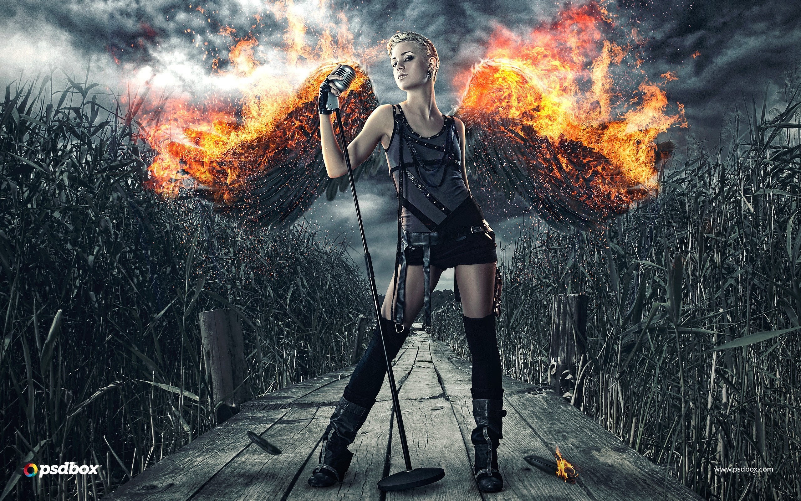 Woman with fiery wings holding a microphone HD Wallpaper