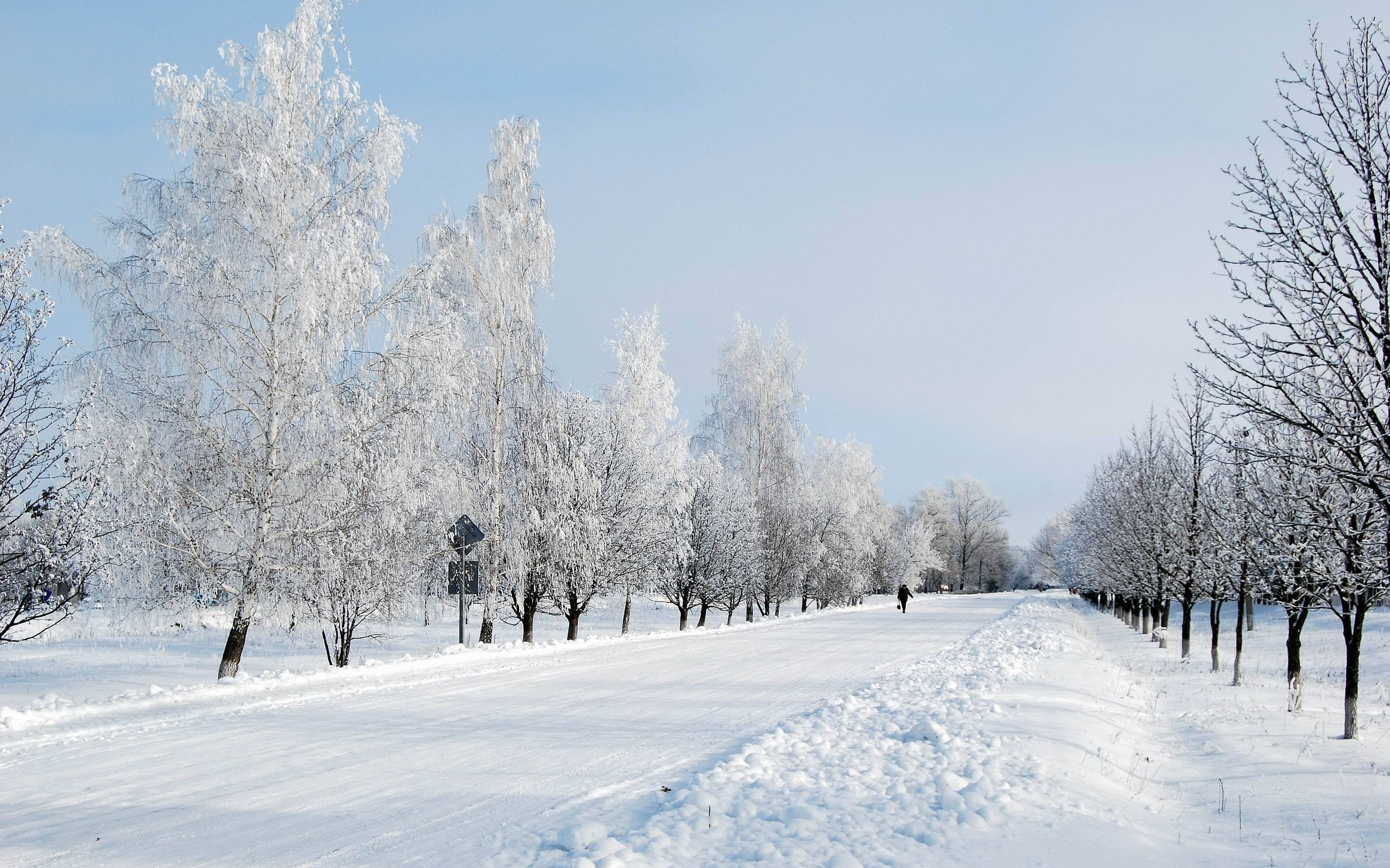 Snow-covered road lined with frost-covered trees HD Wallpaper