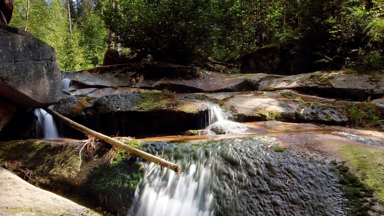 Waterfall cascading over rocks in a forest HD Wallpaper