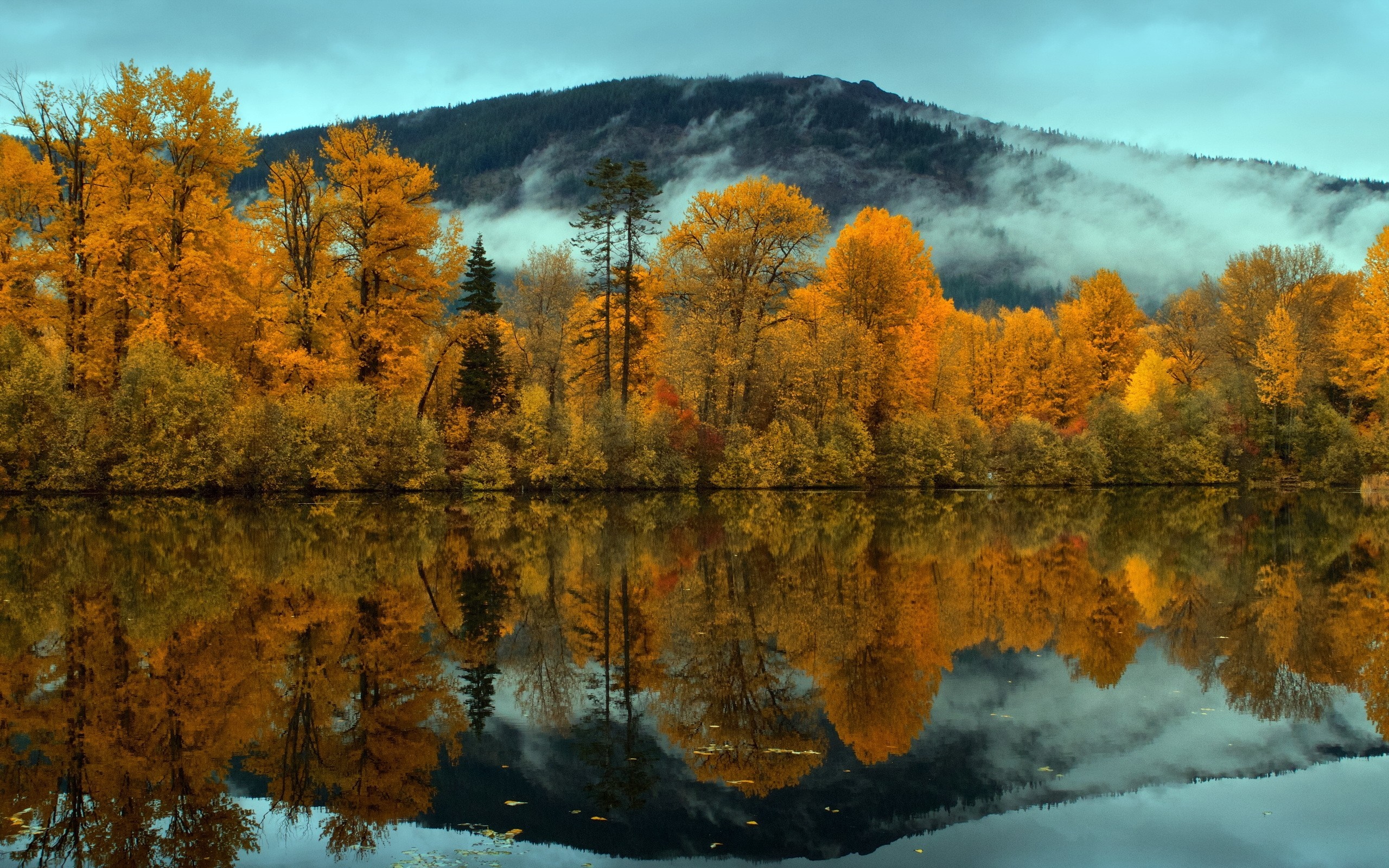 Autumn trees reflected in a lake with misty mountains HD Wallpaper