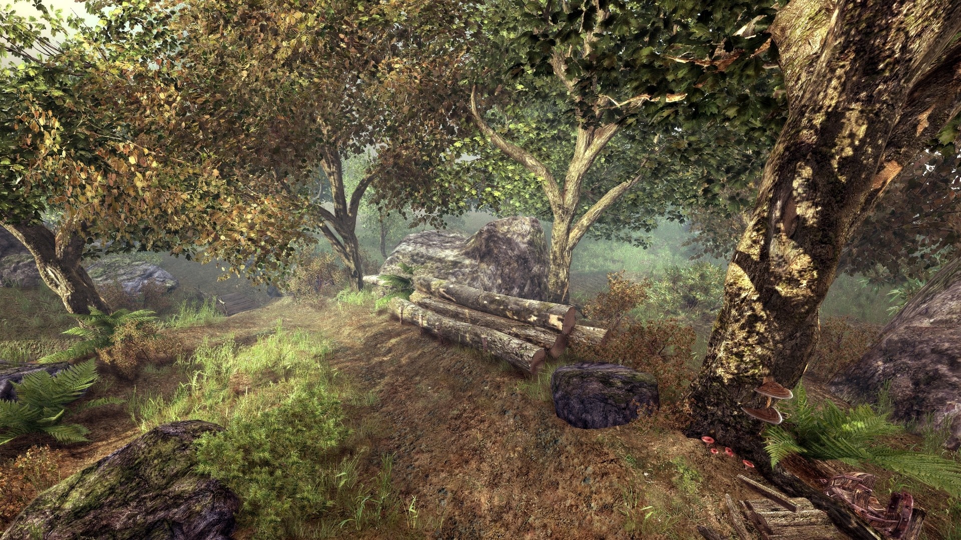 The Elder Scrolls V Skyrim forest landscape HD Wallpaper