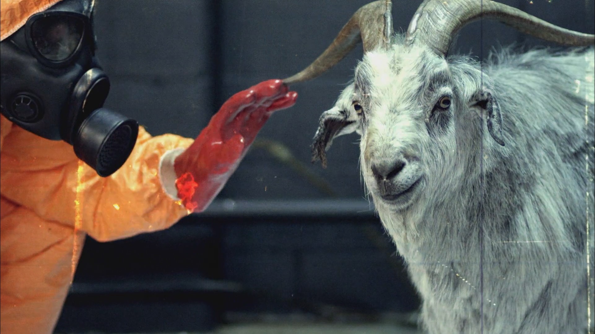 Person in Hazmat Suit and Goat HD Wallpaper