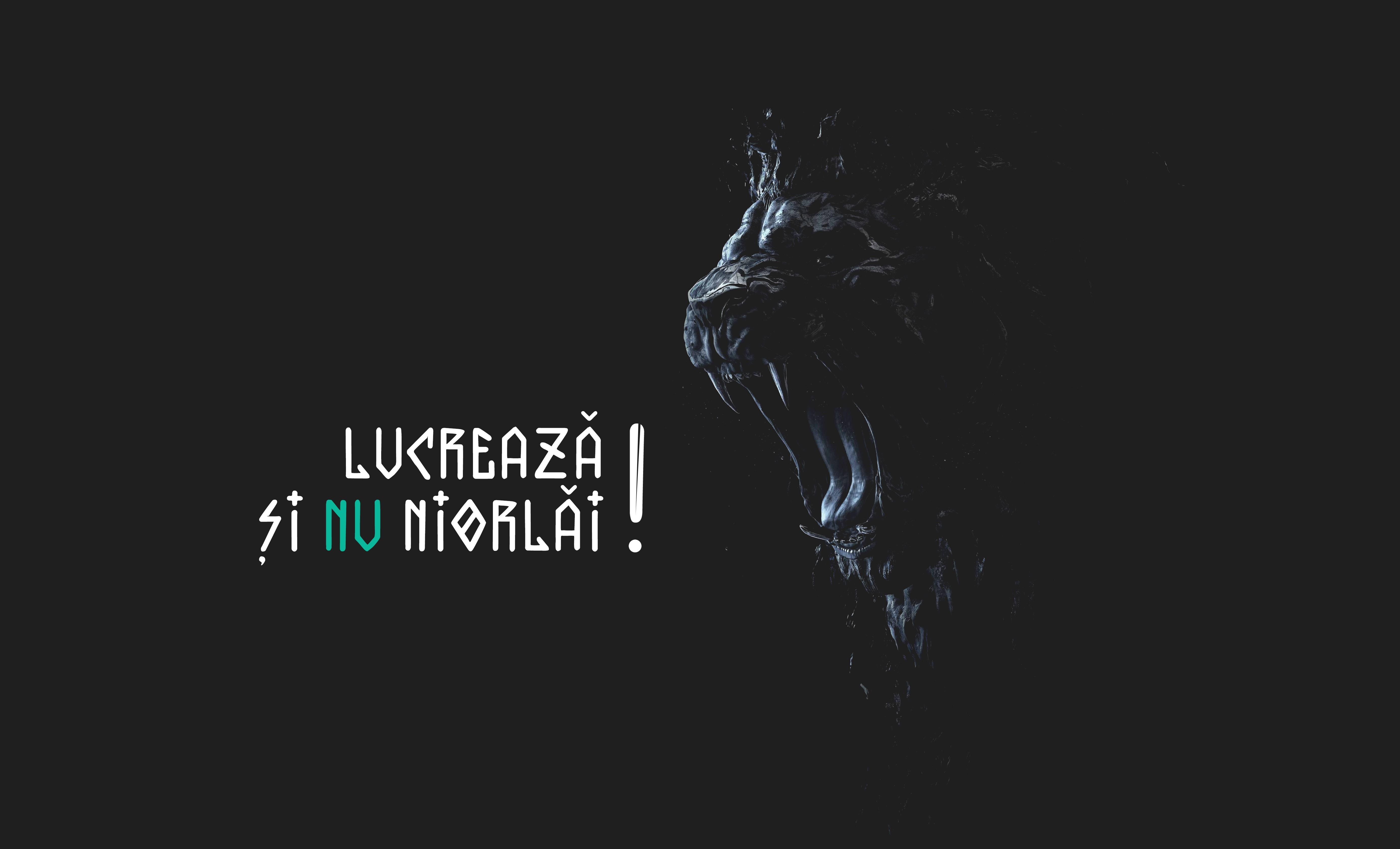 Illustration with Romanian text and a lion's head HD Wallpaper