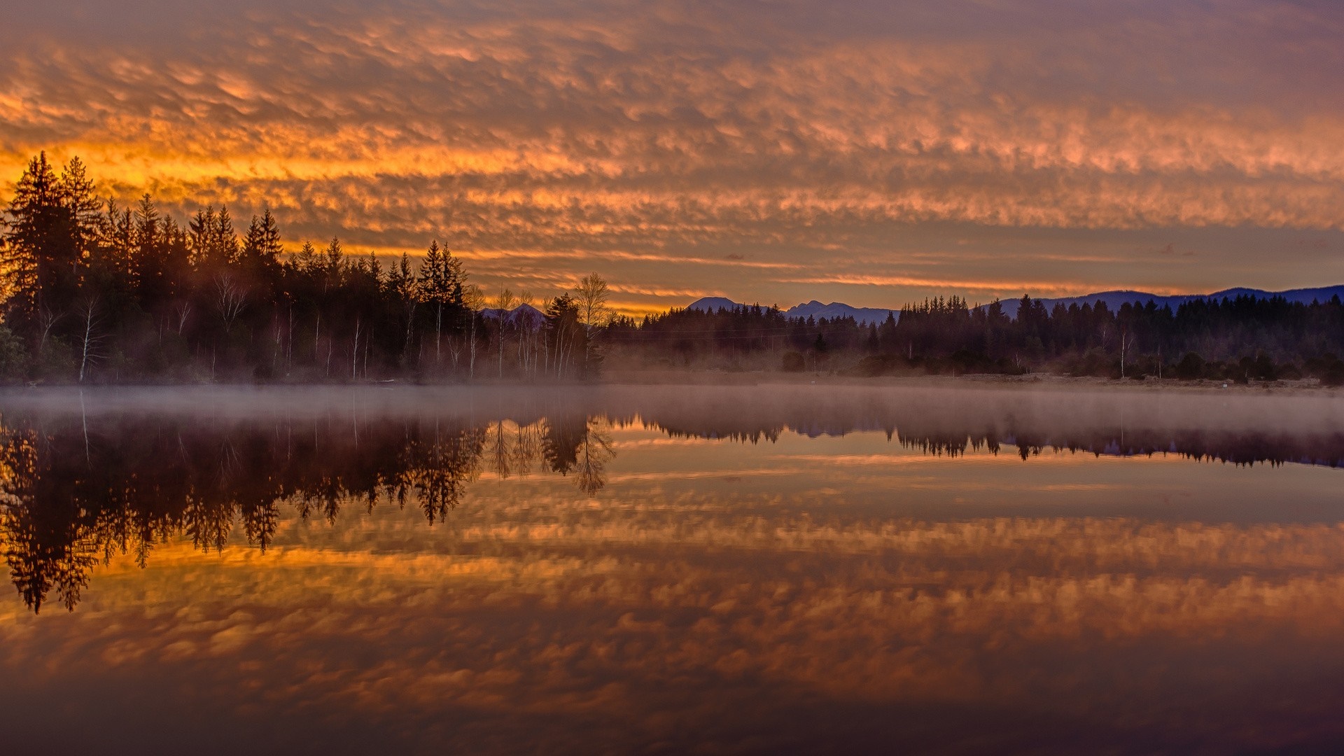 Misty lake at sunrise with orange clouds and forest reflection HD Wallpaper
