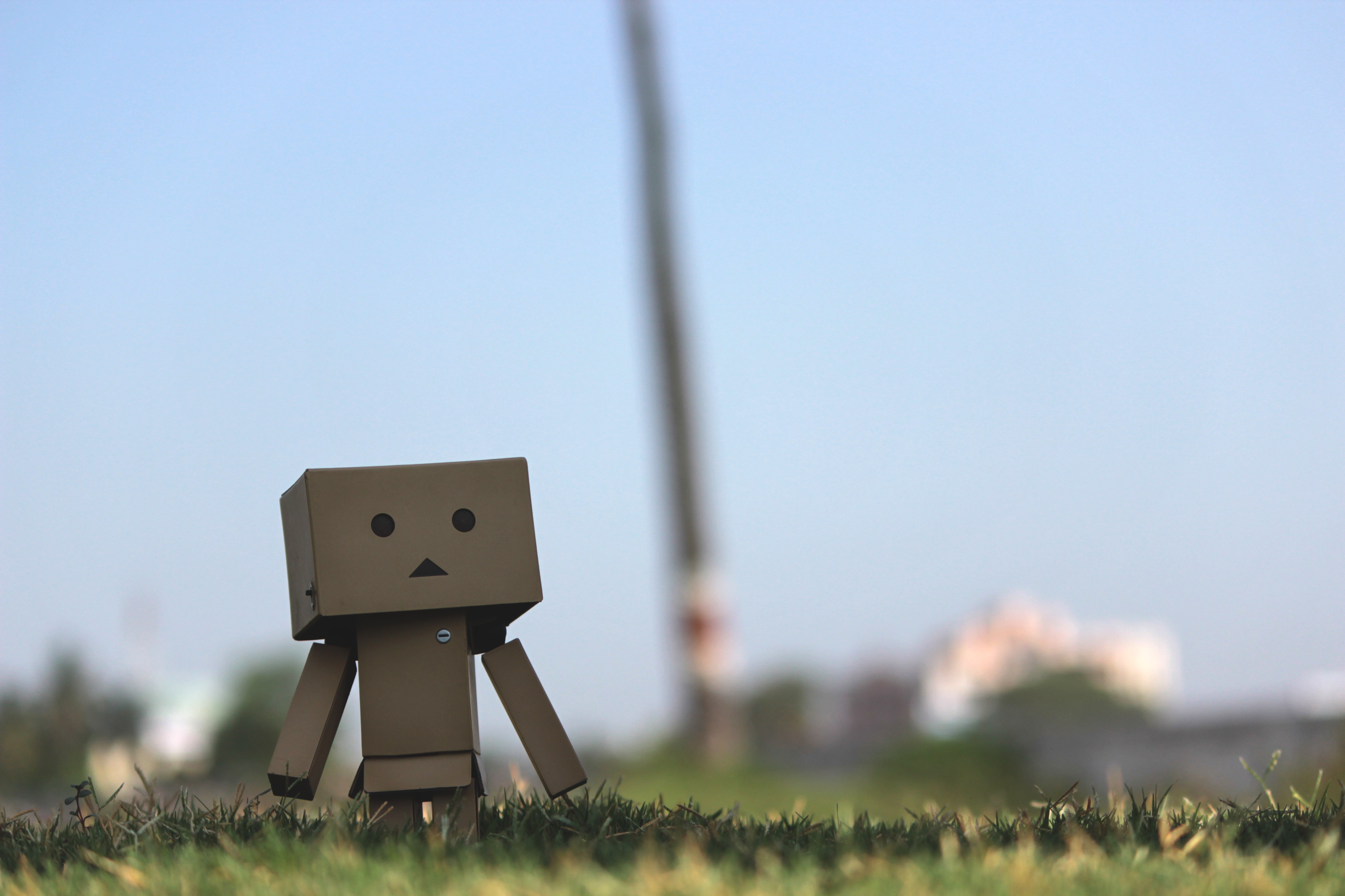 Danbo from Yotsubato standing in grass HD Wallpaper