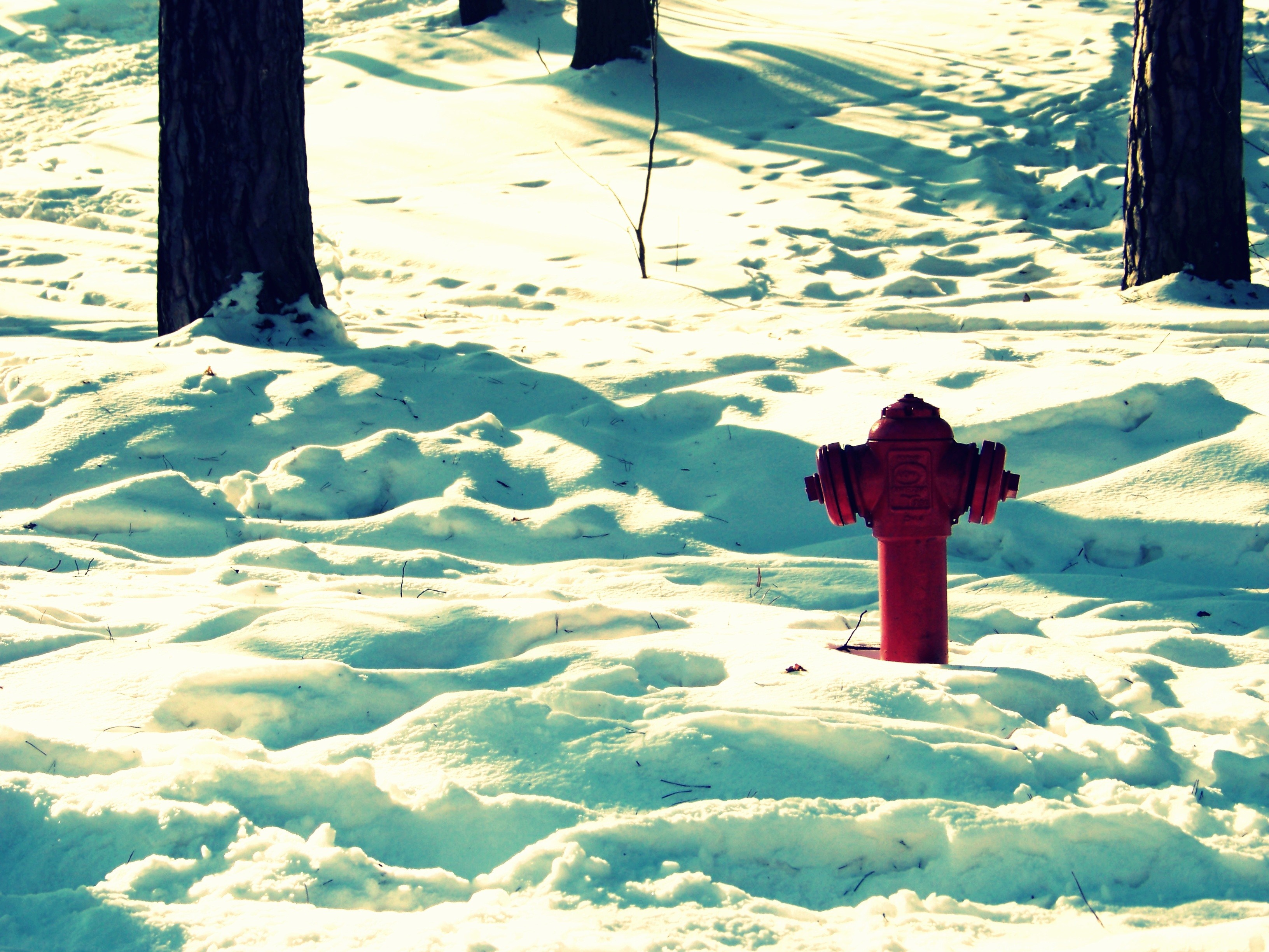 Red fire hydrant in the snow HD Wallpaper