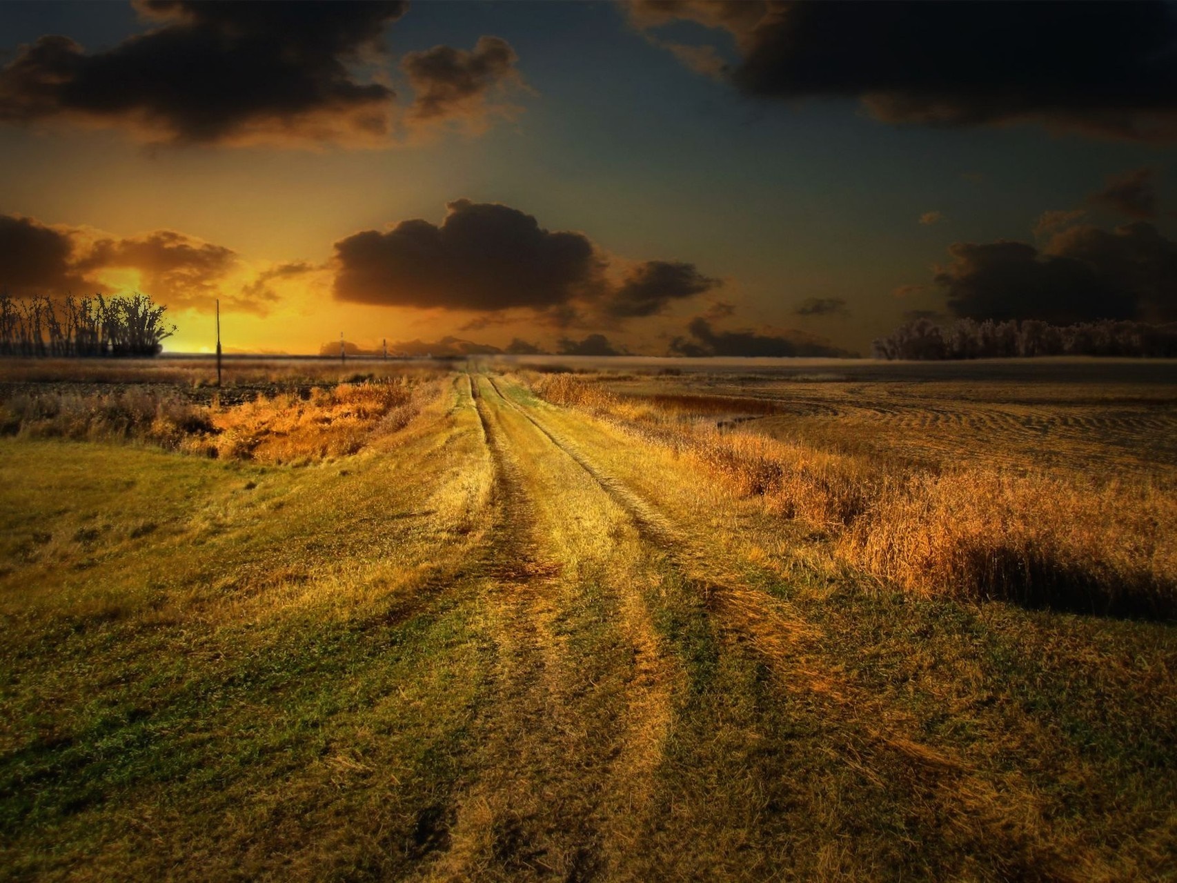 Rural dirt road through a golden field at sunset HD Wallpaper