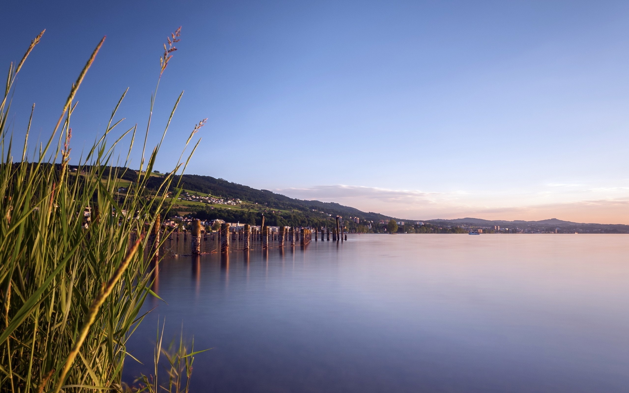 Long exposure lake landscape with reeds and distant town HD Wallpaper