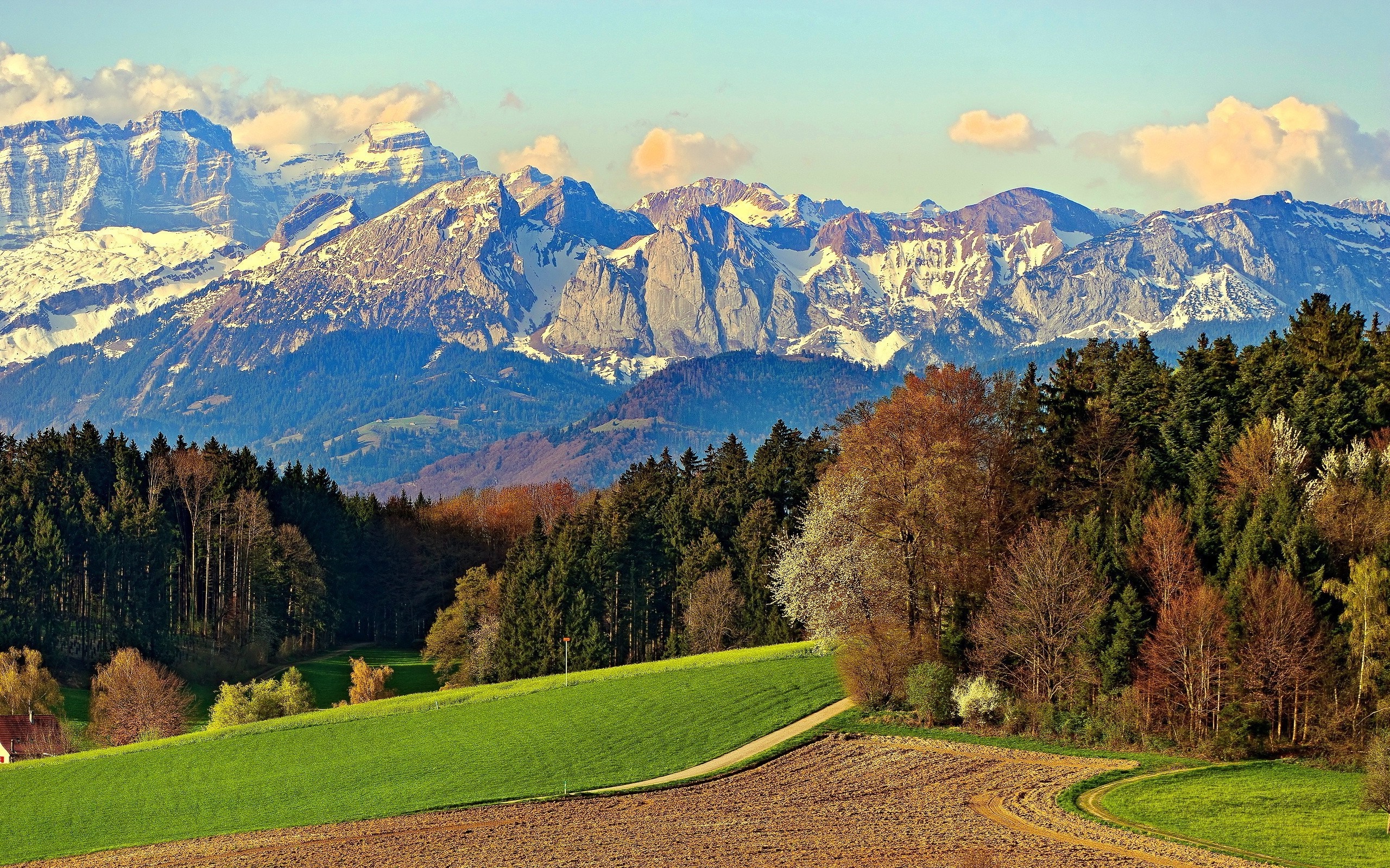 Snow-capped mountains overlook a forest and rolling hills HD Wallpaper