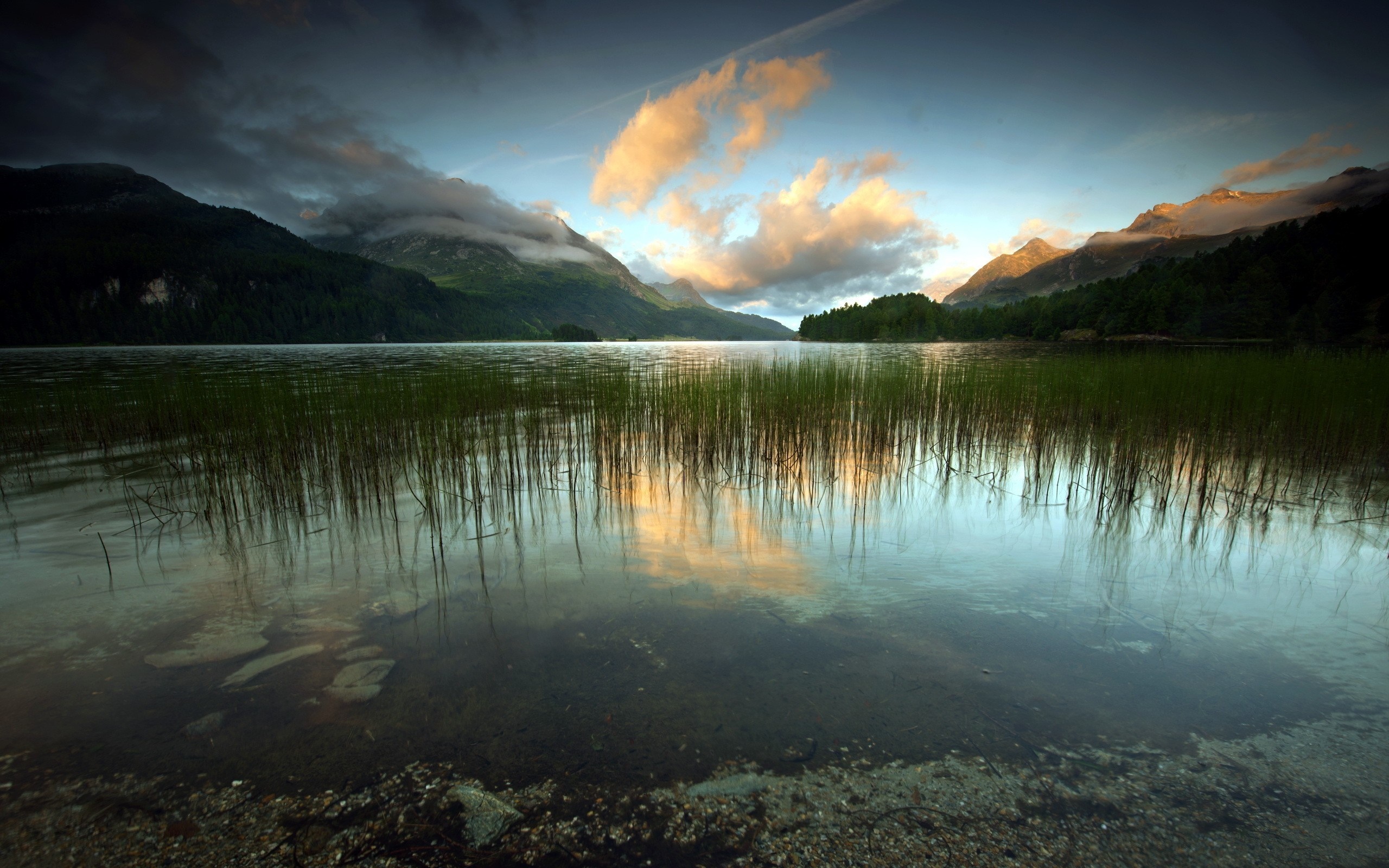 Lake with reeds and mountains at sunset HD Wallpaper