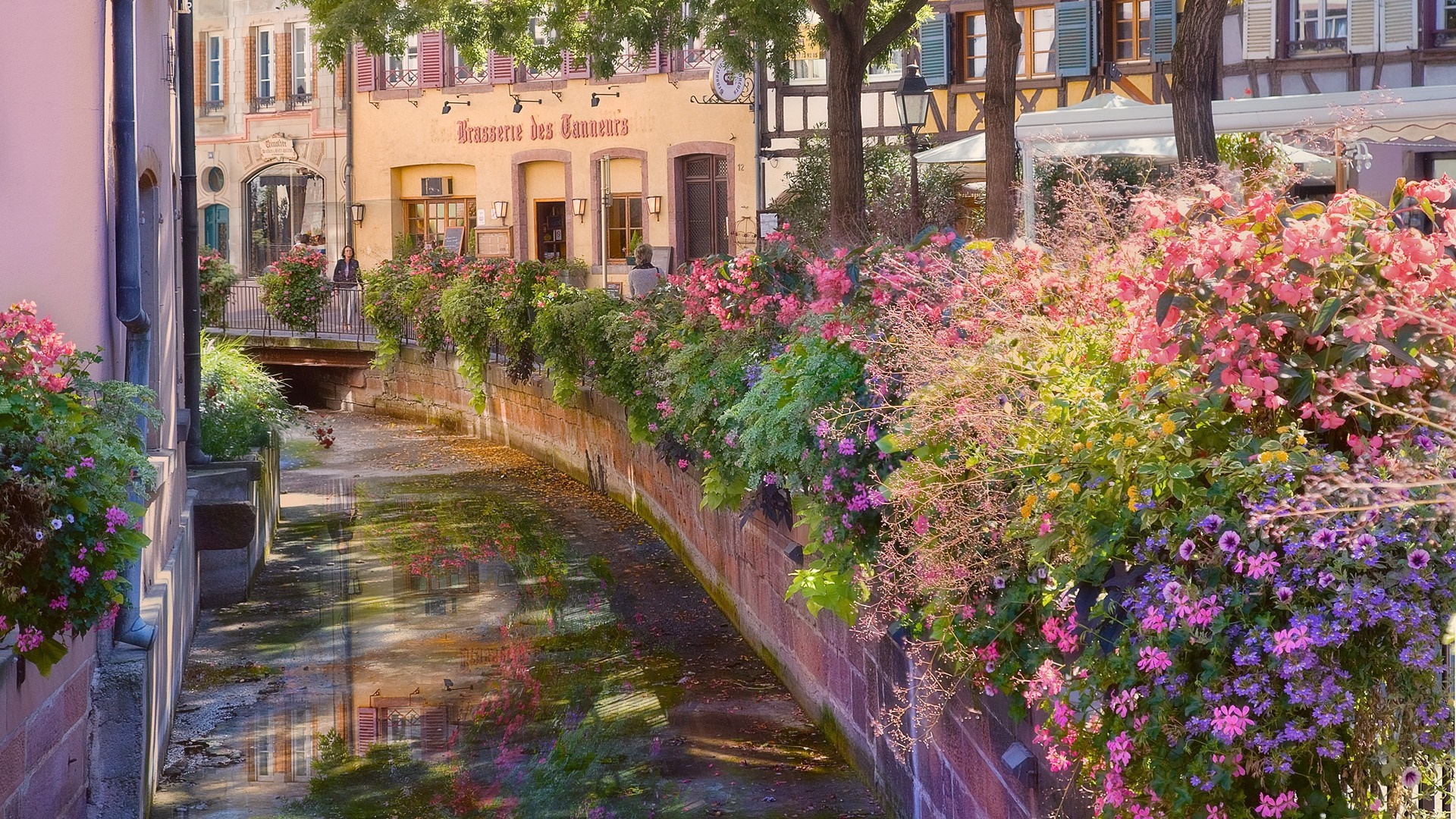 Canal with flowers and buildings HD Wallpaper