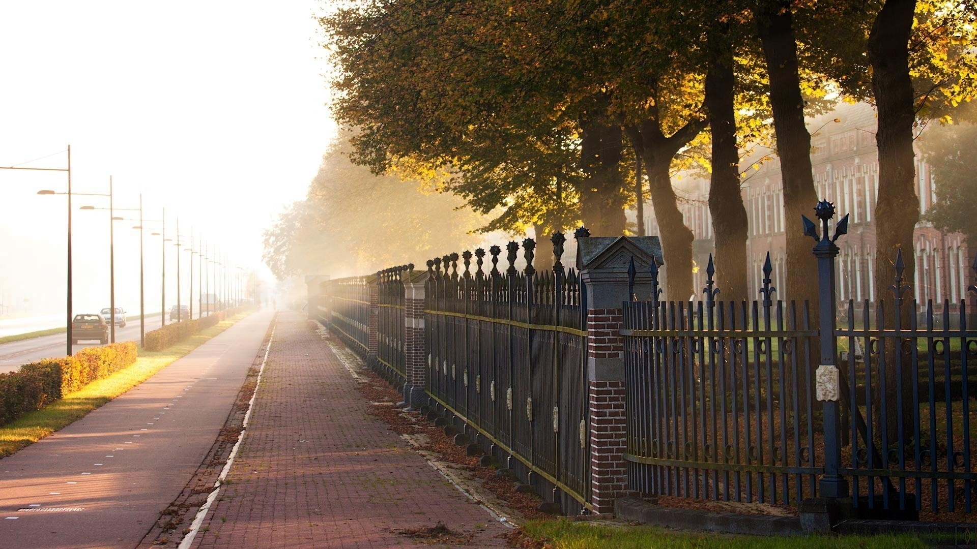 Autumn morning with fog along a tree-lined street and fence HD Wallpaper