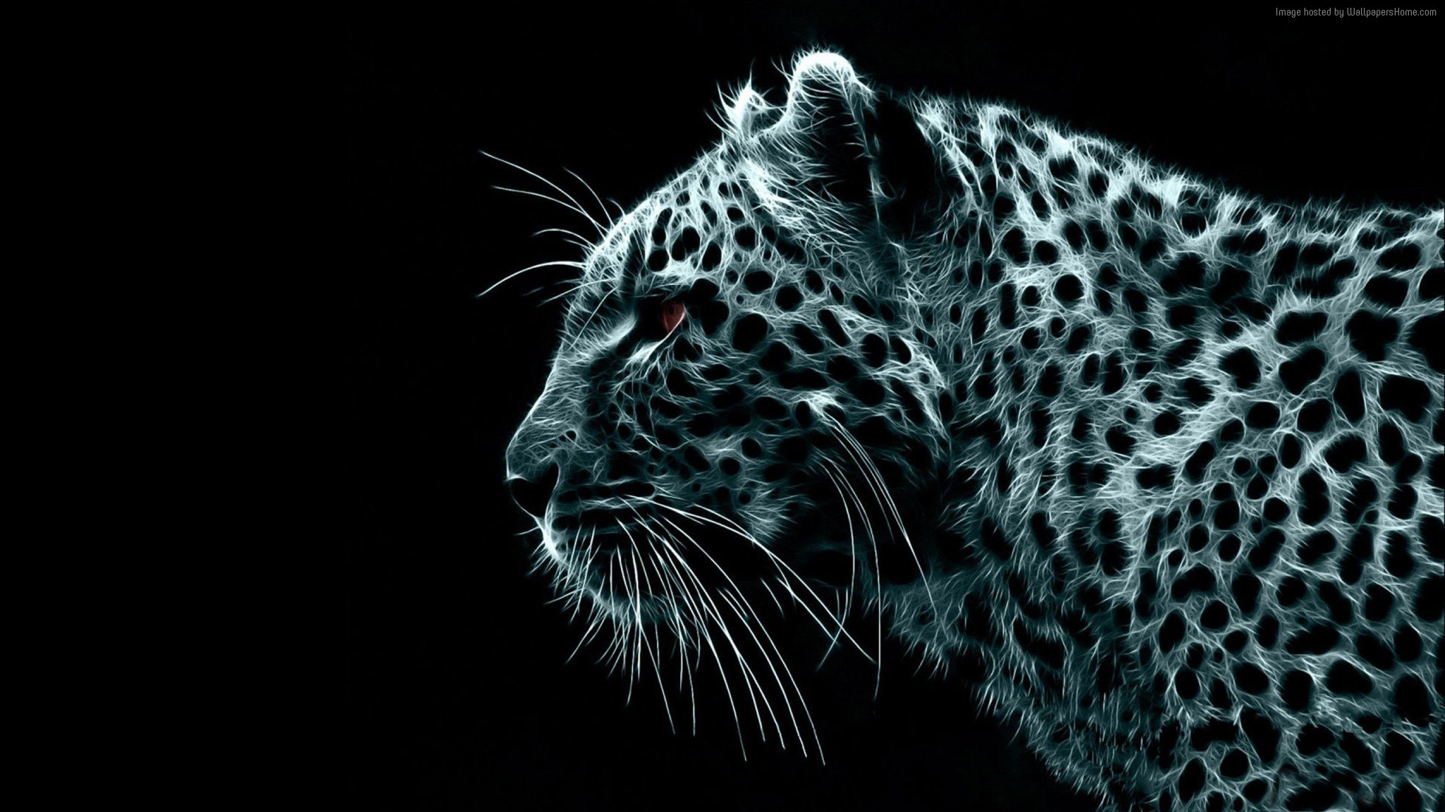 Fractal Art Leopard Portrait HD Wallpaper