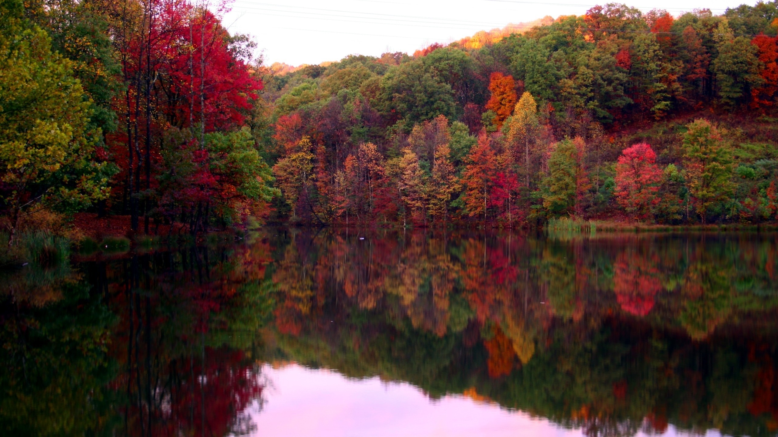 Autumn forest reflected in a lake HD Wallpaper