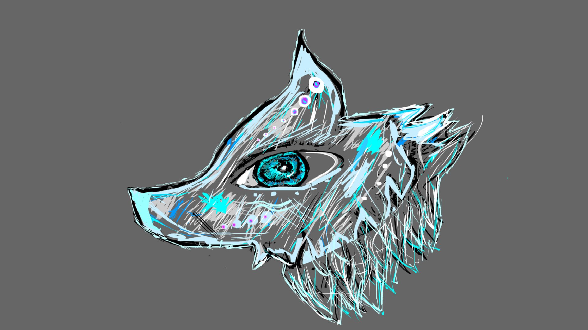 Stylized drawing of a wolf's head HD Wallpaper