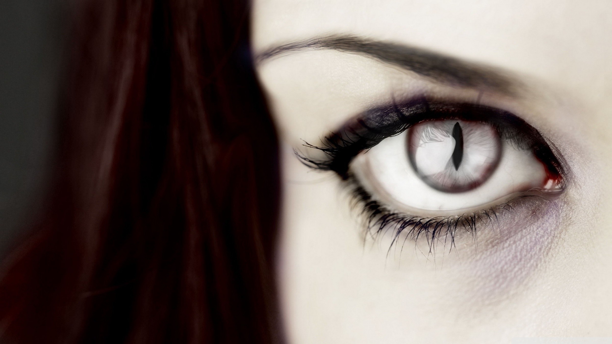 Close up of a woman's eye with a cat-like pupil HD Wallpaper