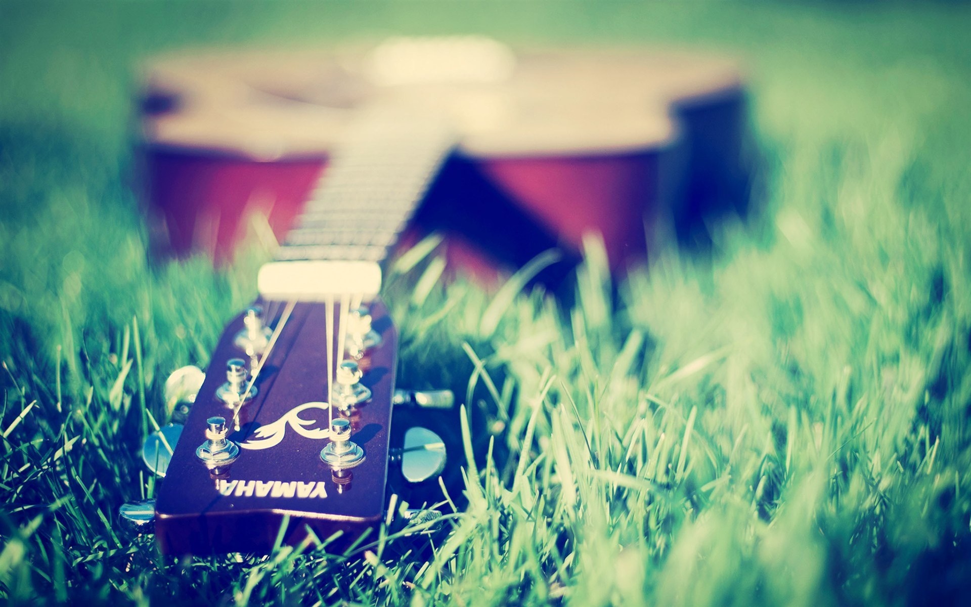 Acoustic guitar lying in green grass HD Wallpaper