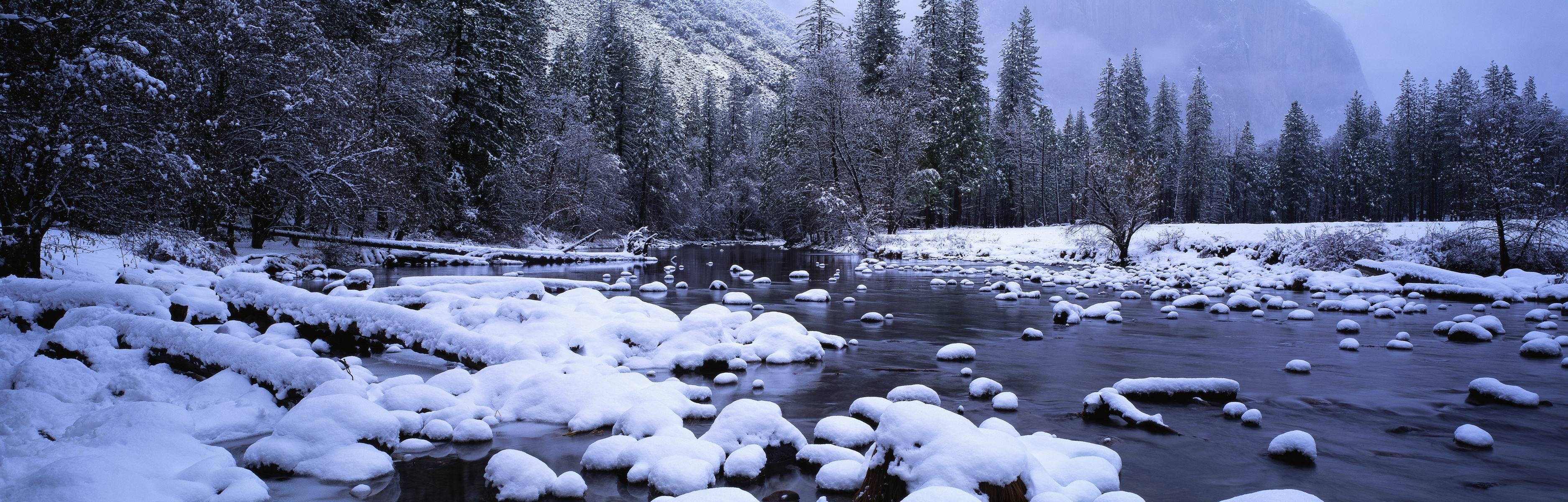 Snowy riverbank with trees in winter HD Wallpaper