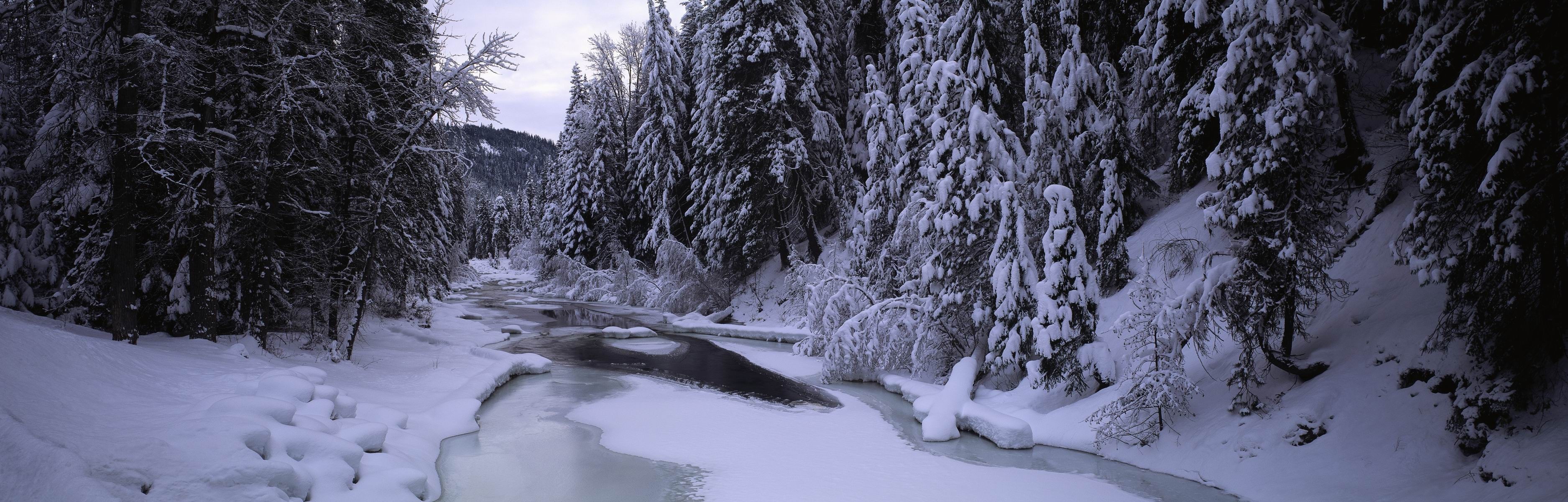 Snowy forest with a partially frozen river HD Wallpaper