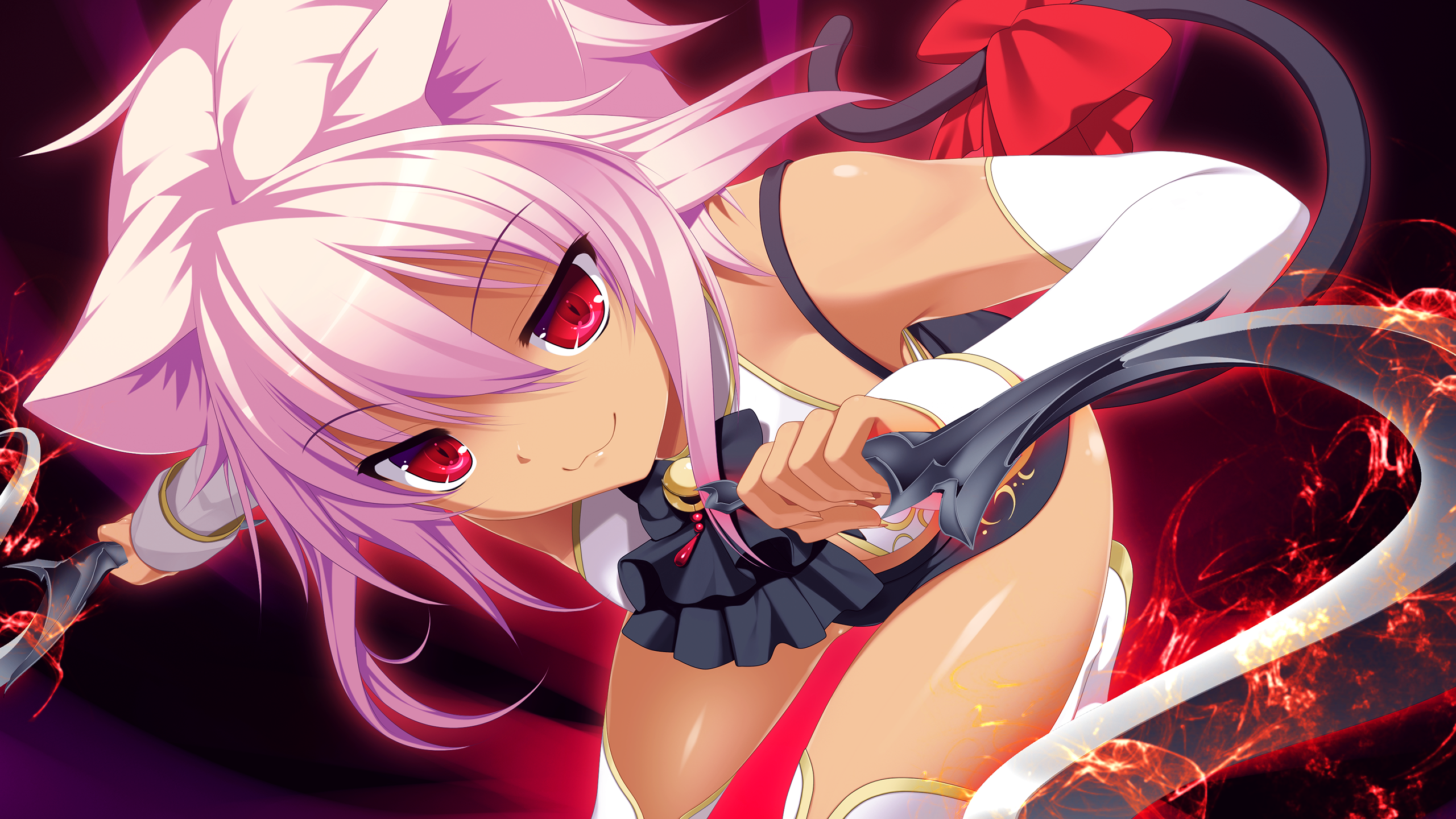 Anime girl with cat ears and swords HD Wallpaper