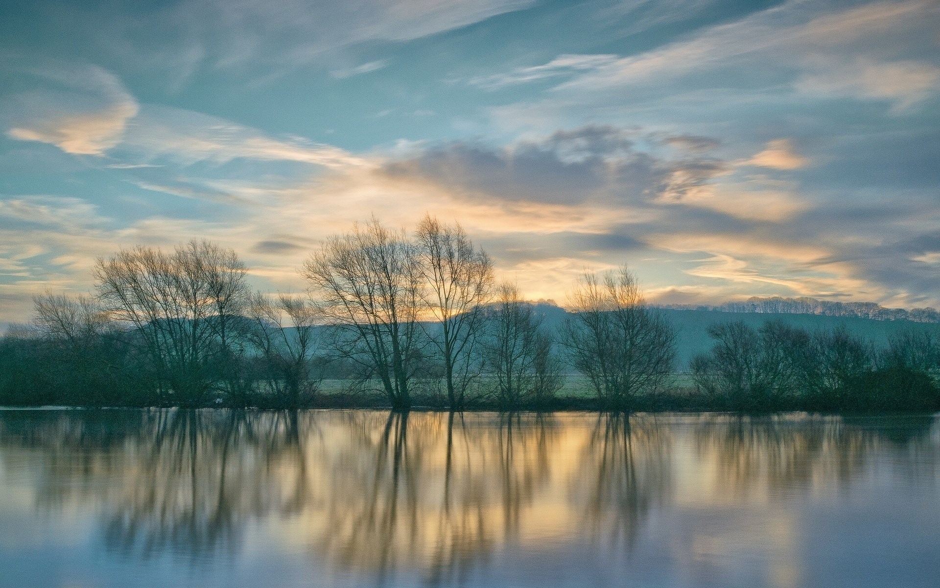 Bare trees reflected in calm water at sunset HD Wallpaper