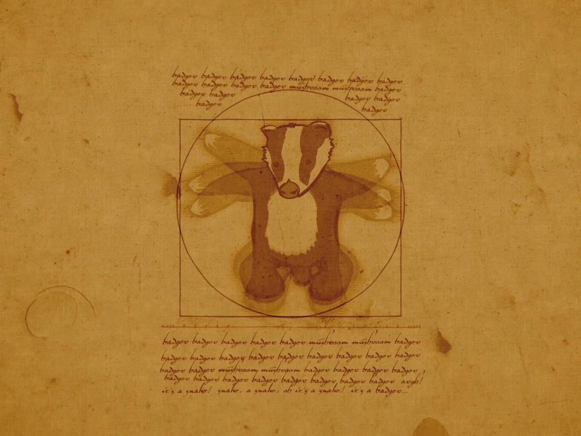 Badger illustration in the style of Leonardo da Vinci HD Wallpaper