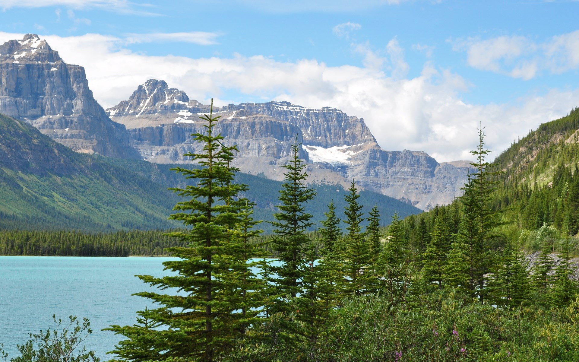 Turquoise lake and mountains with pine trees HD Wallpaper