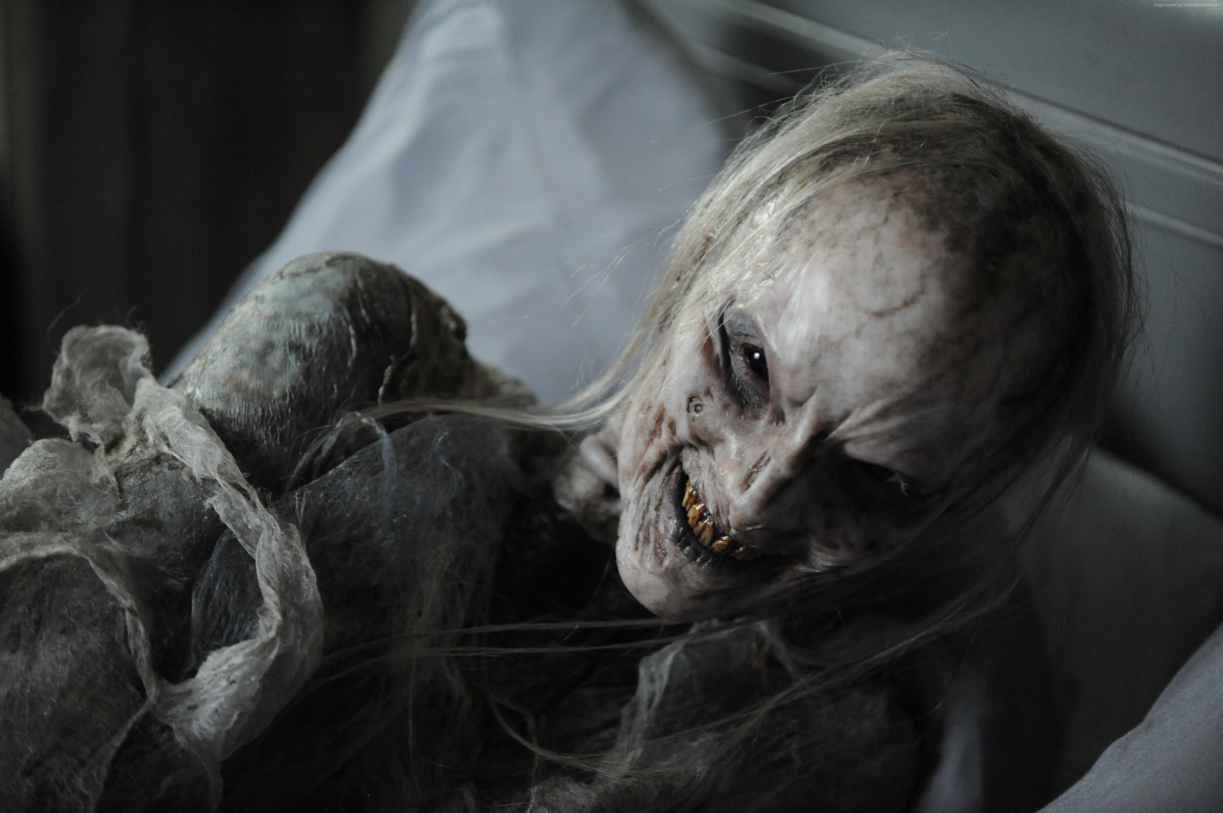 Poltergeist monster HD Wallpaper