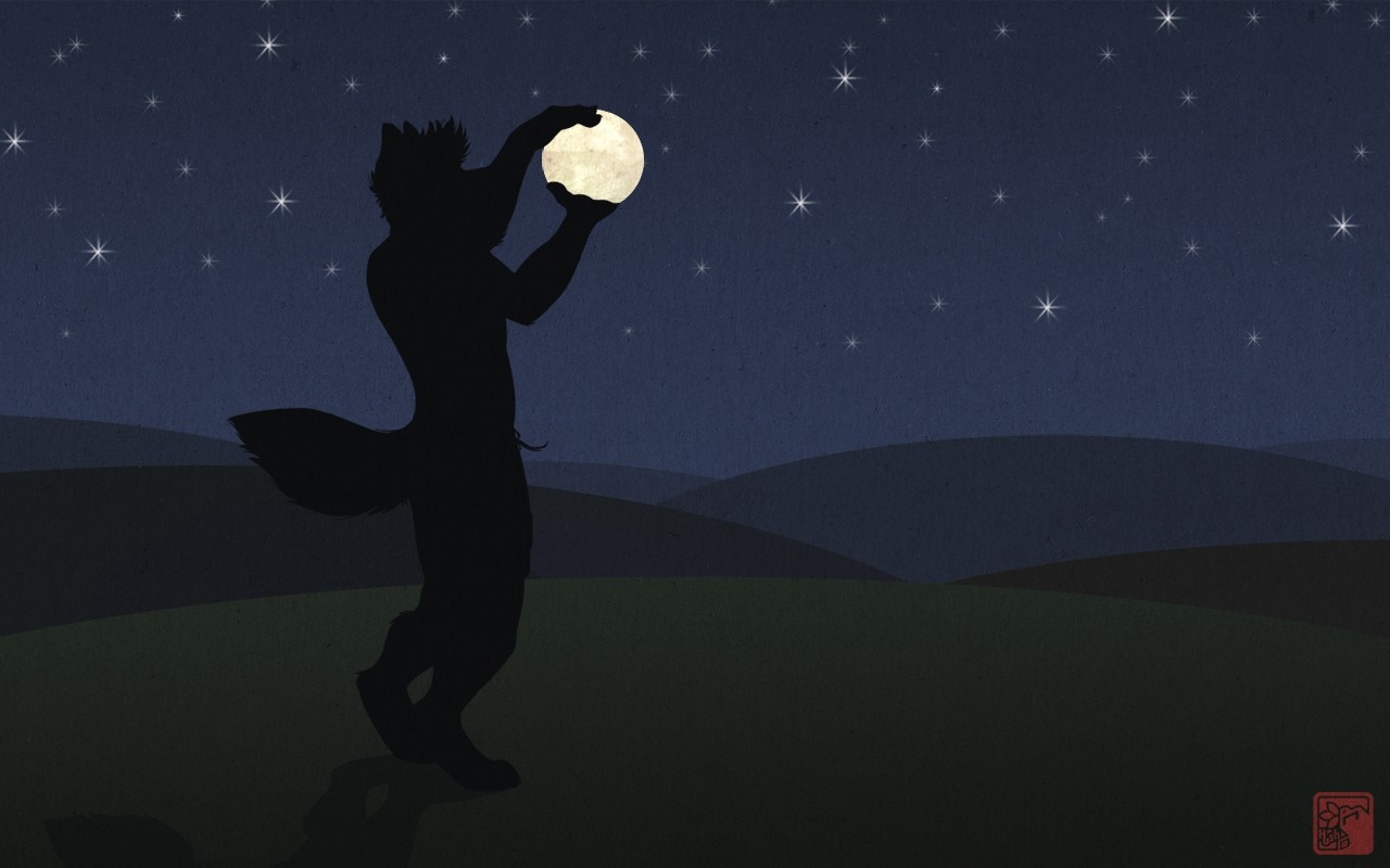 Furry silhouette holding the moon under a starry sky HD Wallpaper