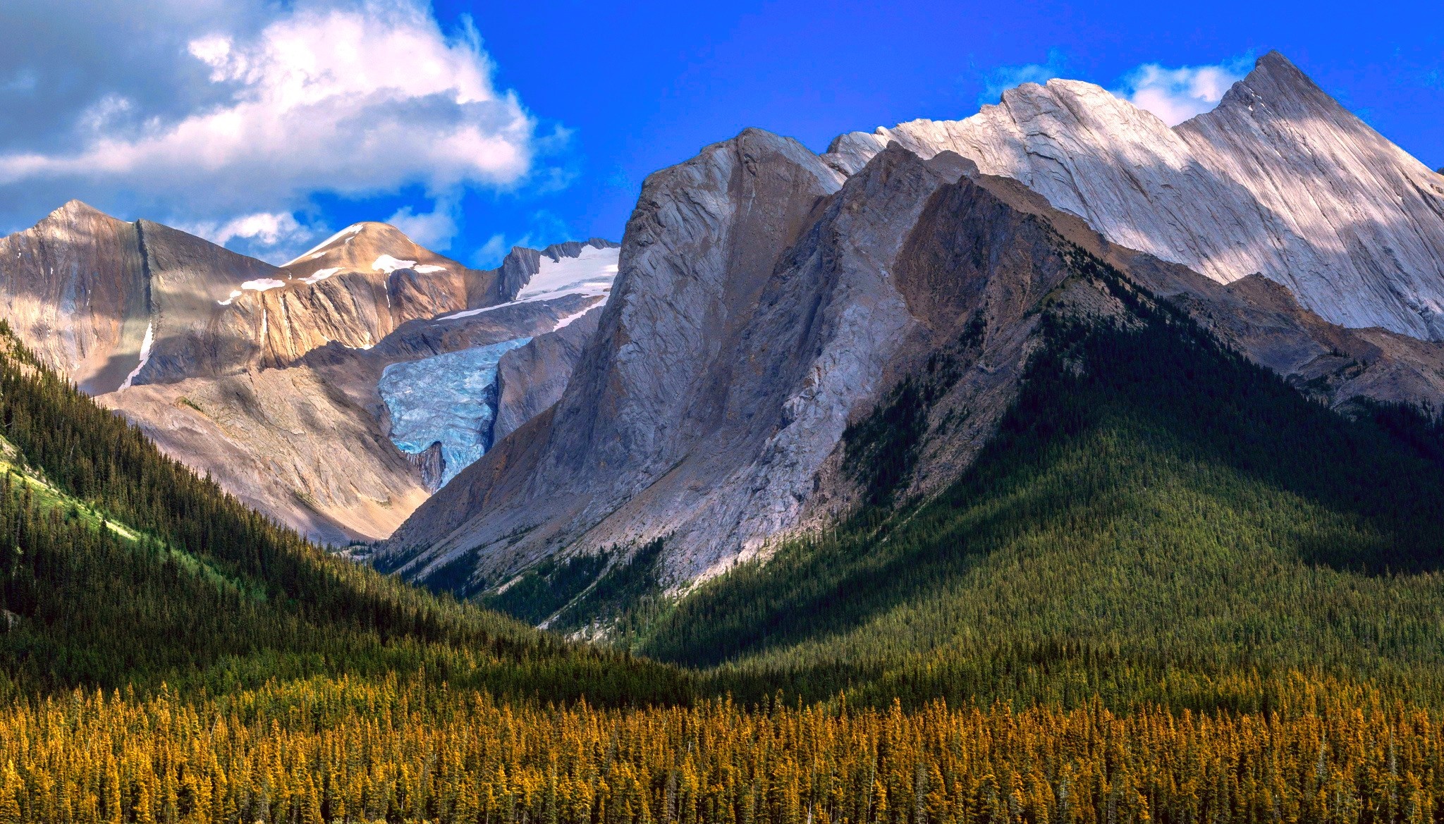 Mountain range with glacier and autumn forest HD Wallpaper