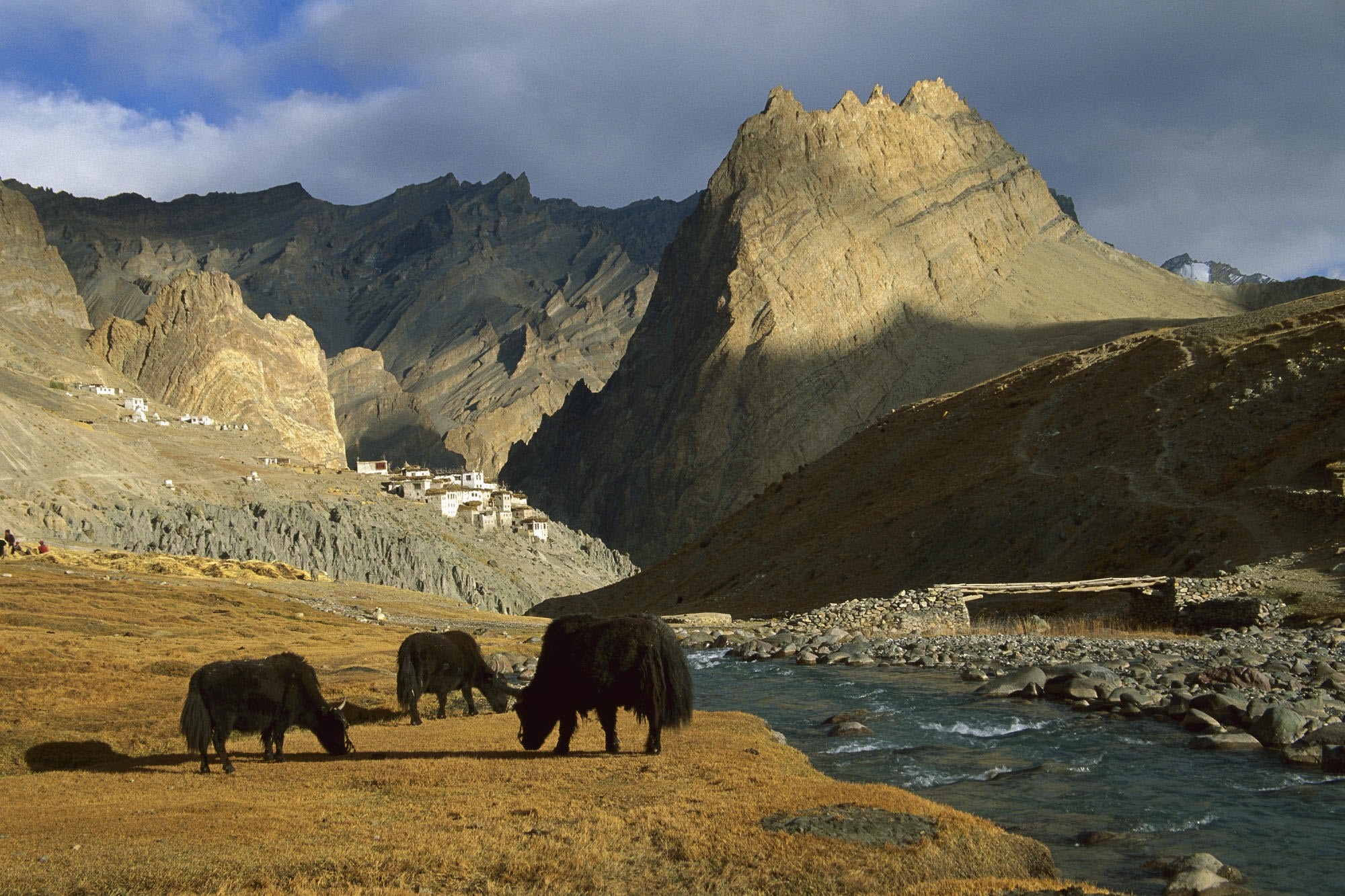 Yaks grazing in a mountain valley with a village HD Wallpaper