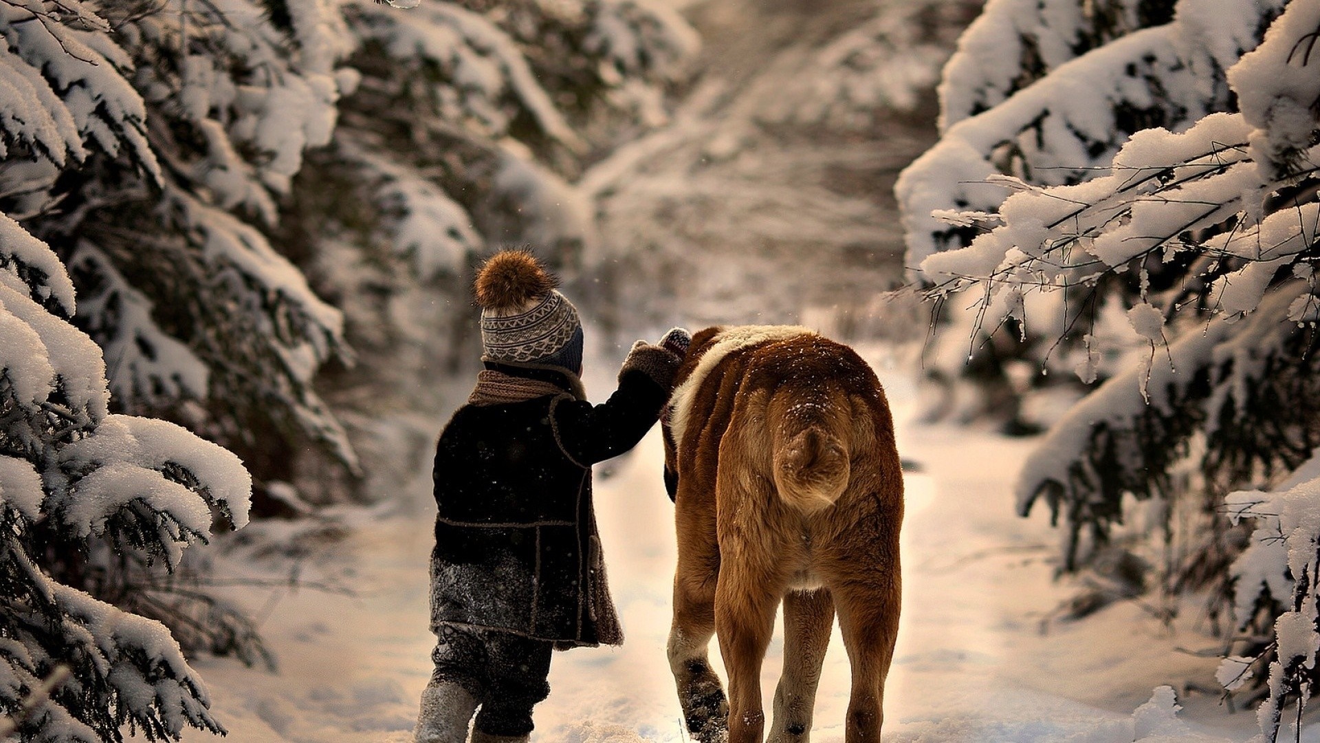 Child petting a dog in a snowy forest HD Wallpaper
