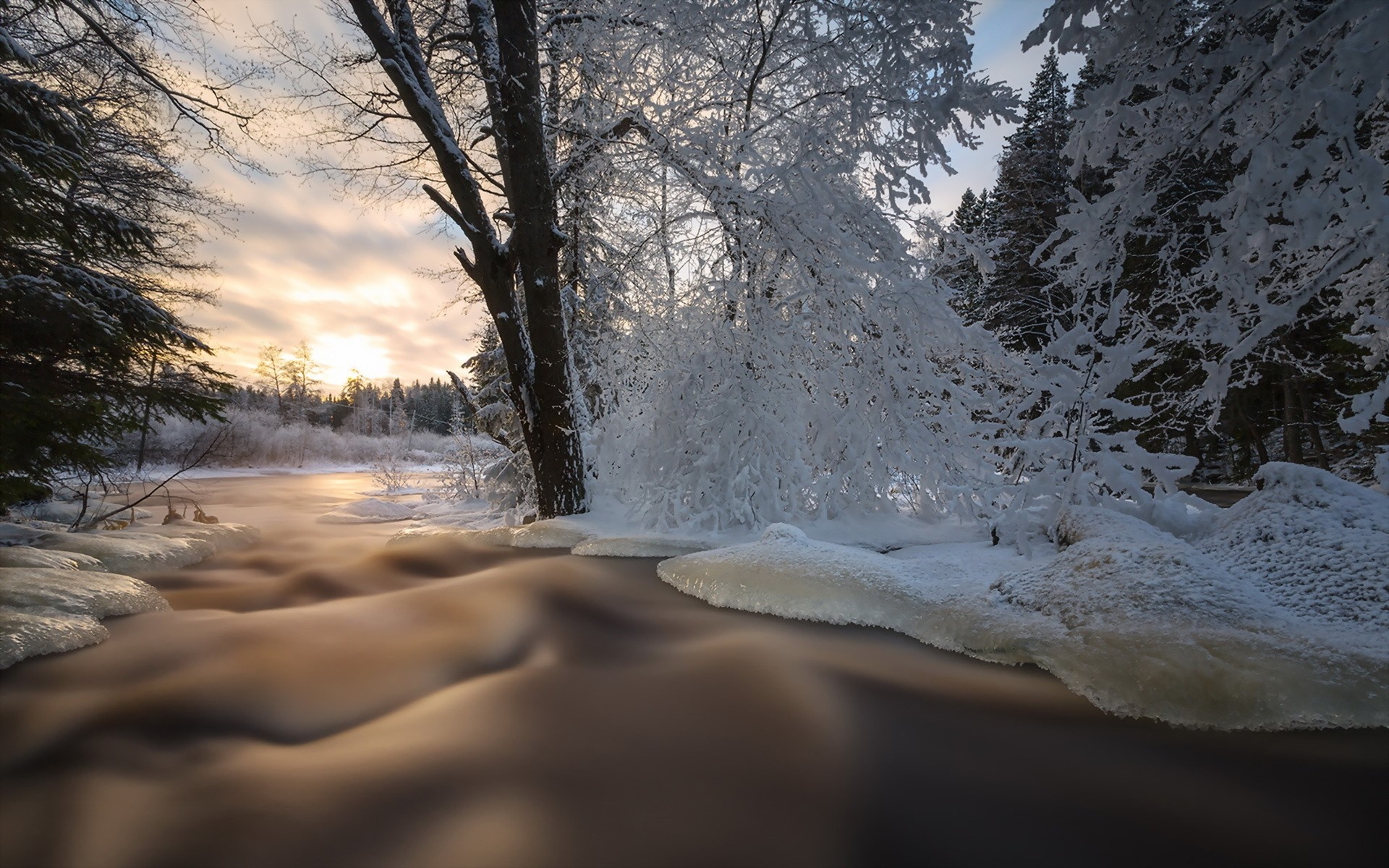 Winter river with snow-covered trees at sunrise HD Wallpaper