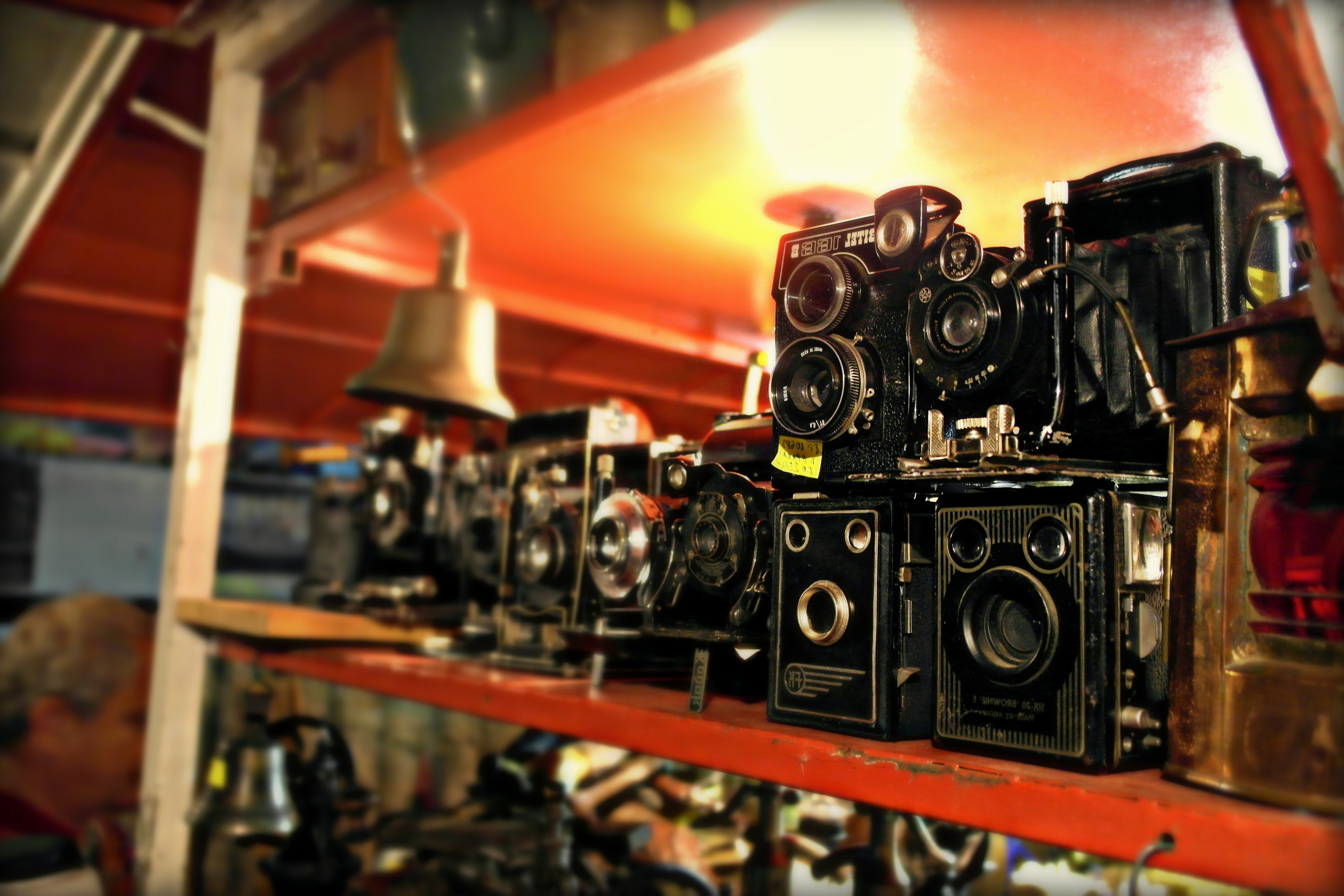 Collection of vintage cameras on shelves HD Wallpaper